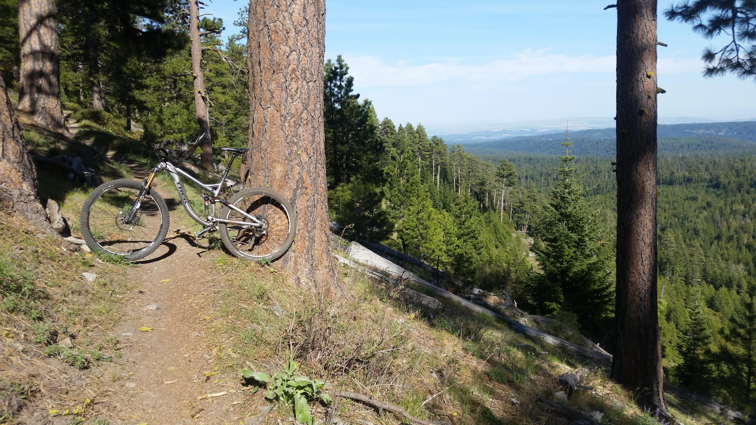 Trek Remedy 7: A mountain bike leaning against a tree along a narrow dirt trail, surrounded by lush green forest and distant mountains under a clear blue sky.