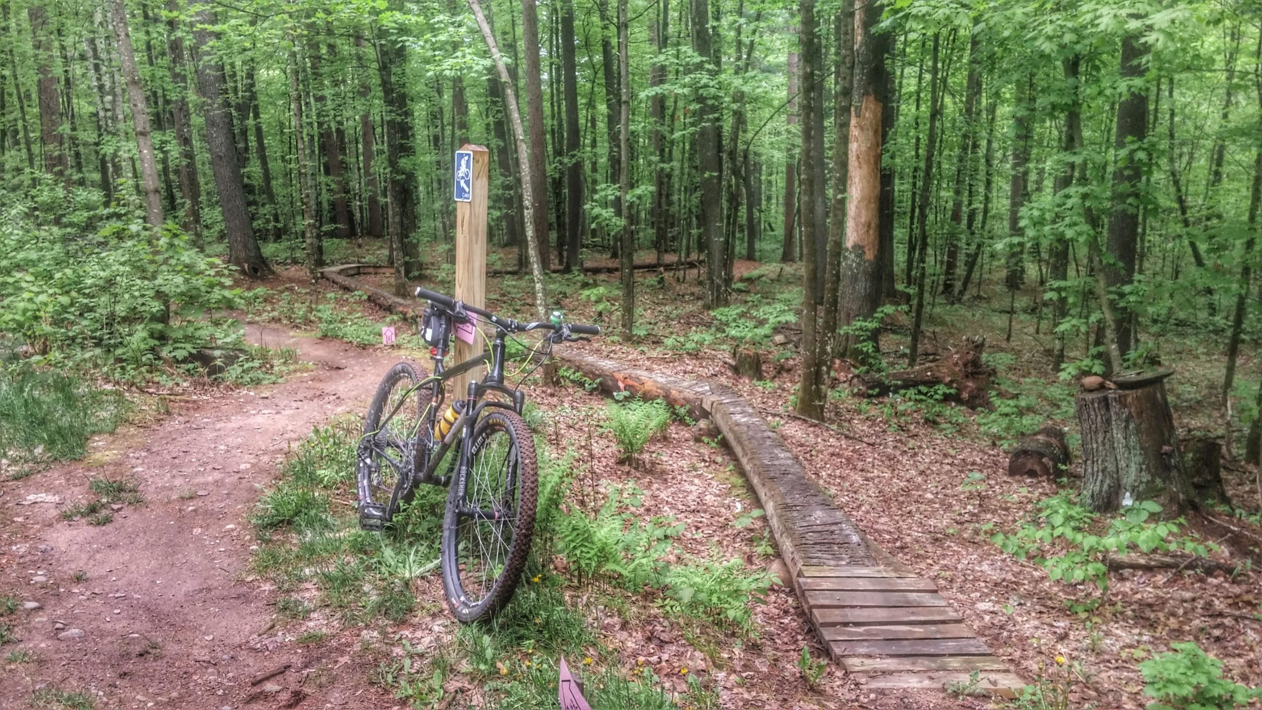 A mountain bike is parked next to a trail sign in a lush, green forest. The path is partially covered in leaves and leads to a wooden bridge, surrounded by tall trees and dense underbrush. CAMBA: Hayward and Seeley Clusters mountain bike trail.