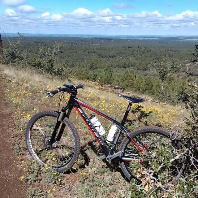 Giant Talon 27.5: A black and red mountain bike parked on a dirt trail overlooking a lush green landscape, with wildflowers nearby and a blue sky with scattered clouds in the background.