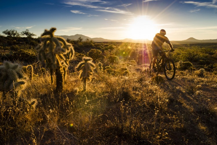 A silhouette of a mountain biker riding on a trail at sunset, surrounded by desert vegetation, including cacti and low shrubs. The sun is setting on the horizon, casting warm light across the landscape and creating a vibrant, picturesque scene.