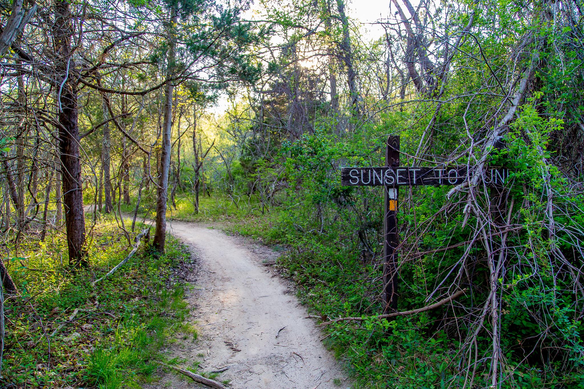 A winding dirt path leads through a lush, green forest, with sunlight filtering through the trees. A weathered wooden sign, partially obscured by branches, indicates the trail to "Sunset." Allaire State Park mountain bike trail.