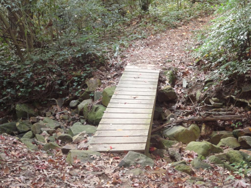 A wooden footbridge spans a small stream in a forested area, surrounded by lush greenery and fallen leaves. The path leading to the bridge is unpaved and lined with rocks. Allsopp Park mountain bike trail.