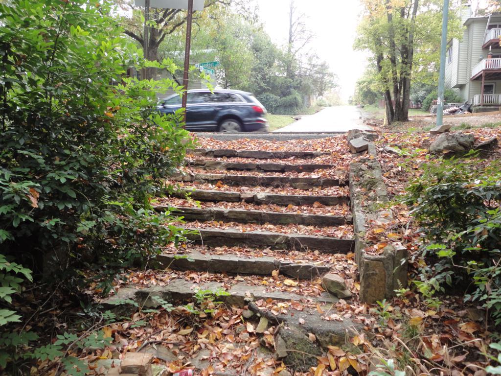 Alt text: A view of a set of stone stairs leading through scattered autumn leaves, bordered by greenery. A road is visible in the background with a car approaching along a tree-lined street. Allsopp Park mountain bike trail.