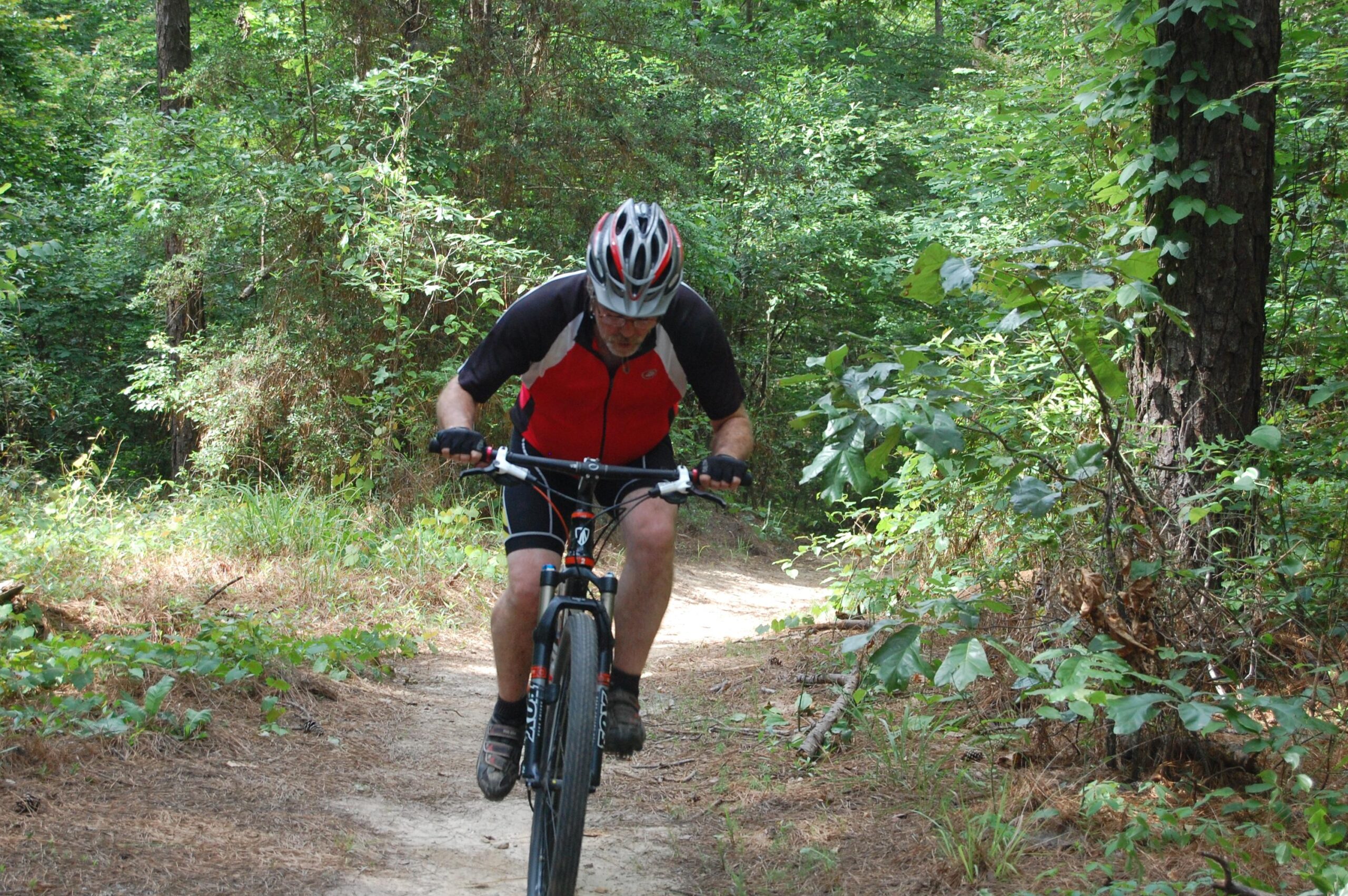 A mountain biker wearing a red and black jersey and a helmet, pedals intensely on a narrow trail through a lush green forest. Surrounding foliage includes trees and shrubs, creating a vibrant natural backdrop. The path is slightly uphill, showcasing the biker's effort and determination. Mt. Zion Bike Trails mountain bike trail.