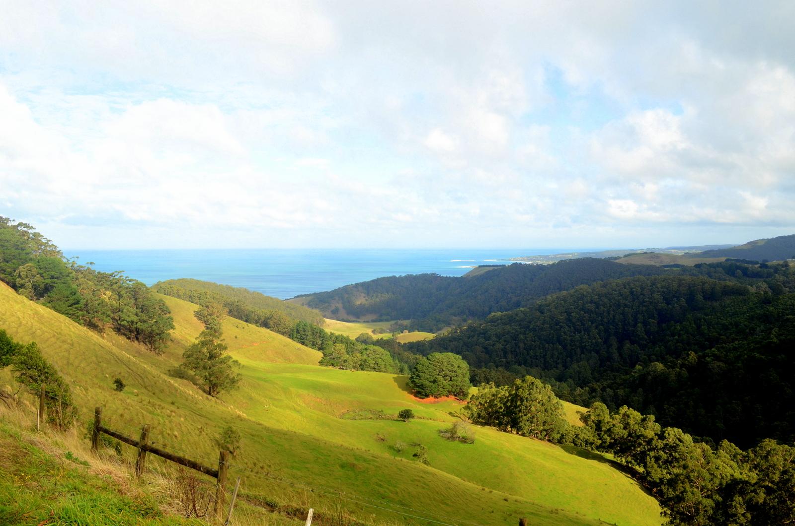 A scenic view of rolling green hills leading down to a blue ocean, with a clear sky and scattered clouds above. The landscape features patches of trees and a gentle gradient of landforms, showcasing the natural beauty of the coastline. Forrest Mtb Trails mountain bike trail.