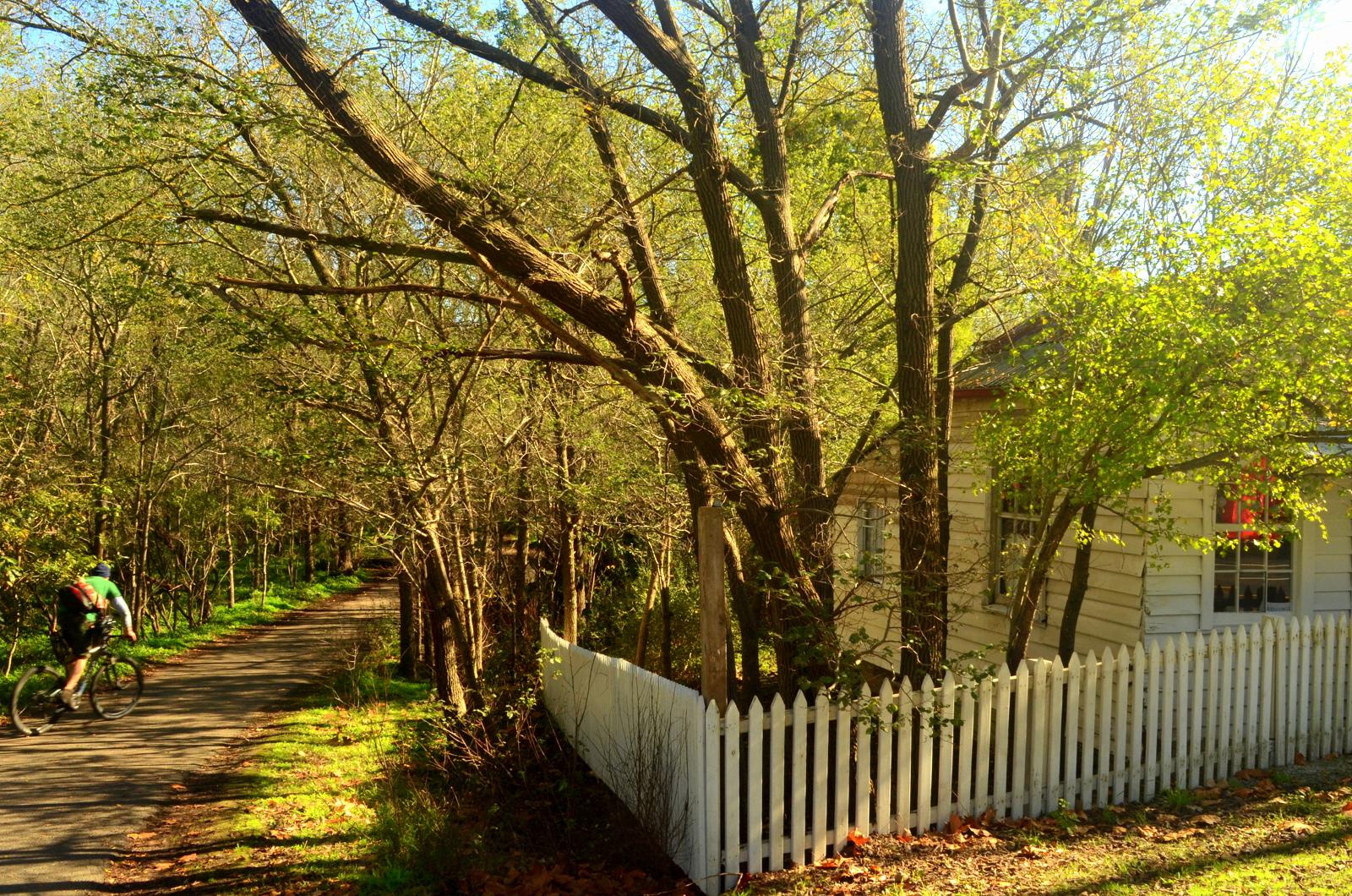A peaceful scene depicting a cyclist riding along a tree-lined path beside a quaint white picket fence and a partially visible house. The landscape is bathed in soft sunlight, showcasing lush green foliage and the early signs of spring. Diamond Creek Trail mountain bike trail.