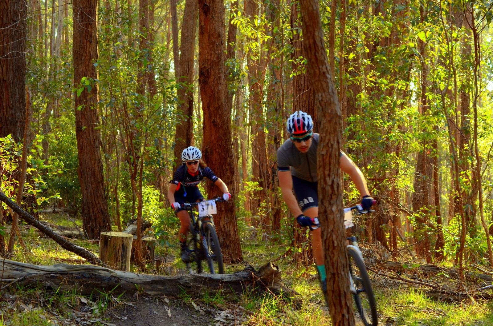 Two mountain bikers navigating a forest trail surrounded by tall trees and greenery, with one cyclist wearing a numbered bib and the other in a grey shirt. Sunlight filters through the leaves, creating a vibrant outdoor scene. Lysterfield Mountain Bike Area mountain bike trail.