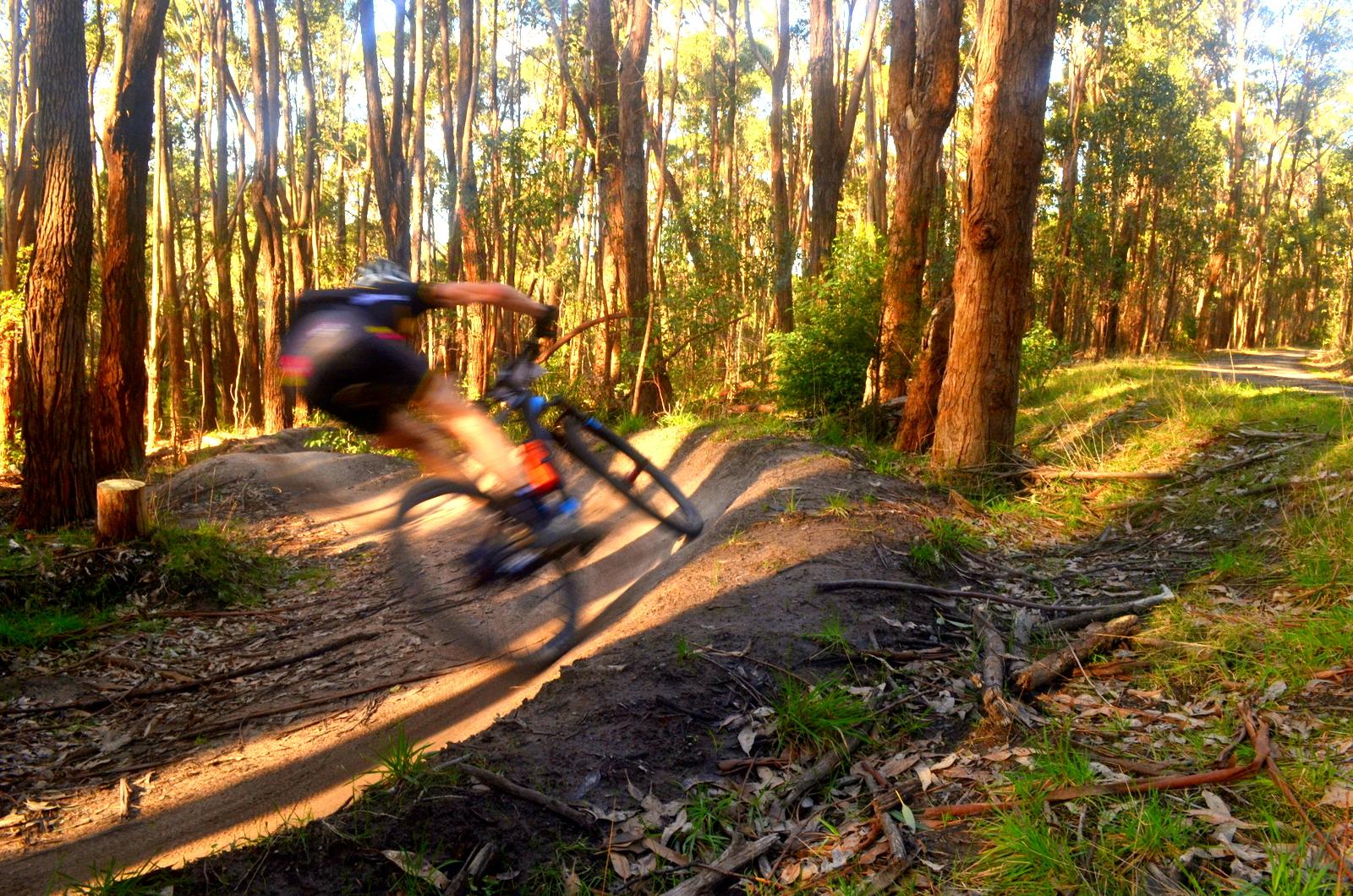 A mountain biker swiftly navigates a winding dirt path through a dense forest of tall trees, capturing the motion with a blur as sunlight filters through the foliage. The path is surrounded by green grass and scattered leaves, creating a natural and adventurous atmosphere. Lysterfield Mountain Bike Area mountain bike trail.