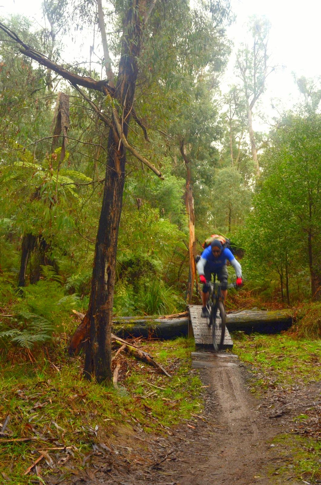 A mountain biker in a blue shirt and pink gloves is mid-jump over a wooden bridge in a lush forest, surrounded by tall trees and greenery. The ground is a mix of dirt and leaves, indicating a natural outdoor trail. Buxton MTB Park mountain bike trail.