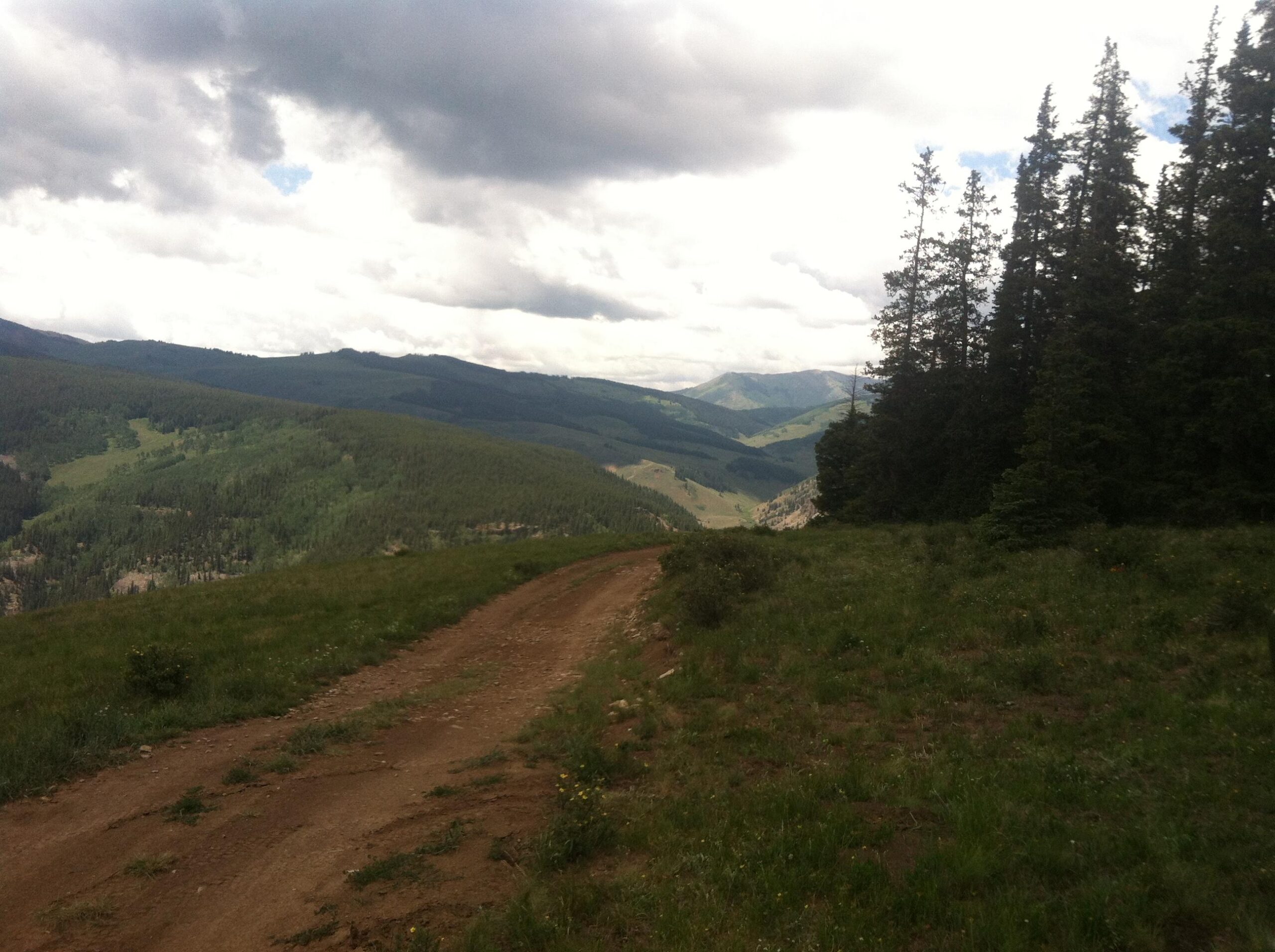 A dirt path winds through a lush green landscape, bordered by tall evergreen trees on the right. Rolling hills and mountains stretch into the distance under a cloudy sky, creating a tranquil and scenic outdoor setting. Doctor Park mountain bike trail.