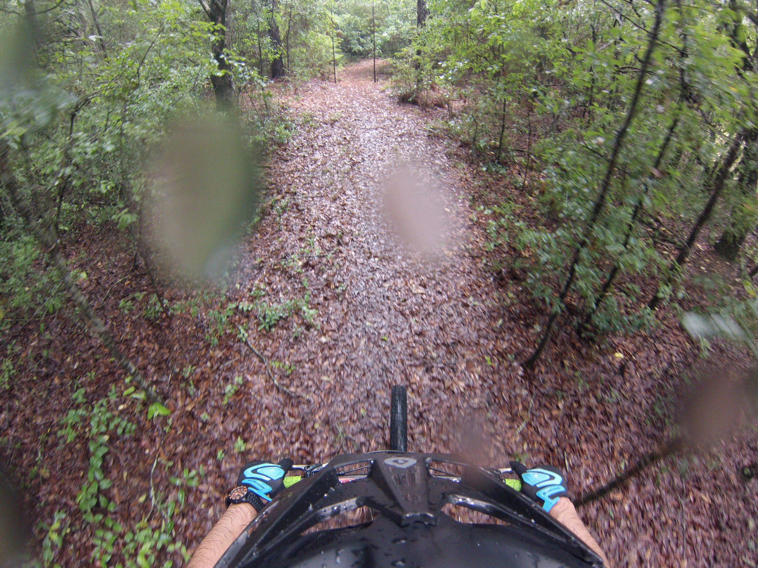A close-up view from a mountain bike handlebars, showing a muddy trail surrounded by lush greenery and trees, with rain droplets adding a blurred effect to the image. The trail is covered in fallen leaves, suggesting recent rainfall, and the biker
