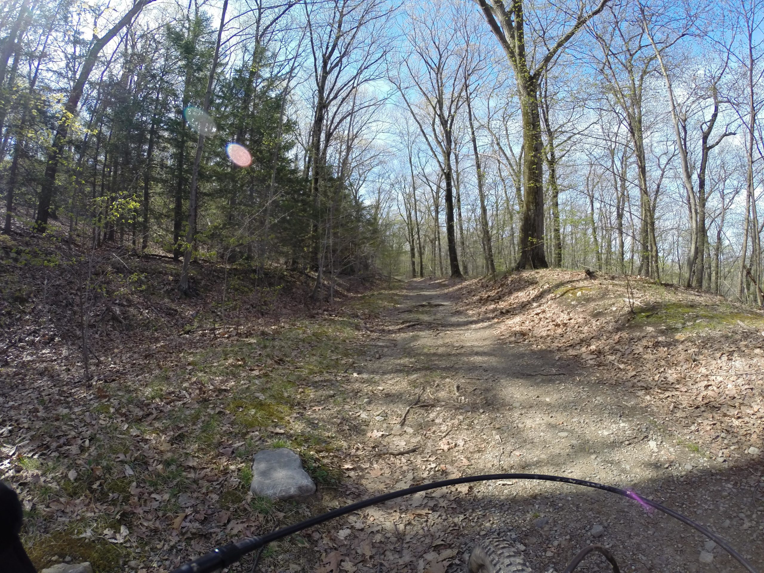 A dirt path winding through a forest with bare trees and scattered leaves, viewed from the perspective of a cyclist. The scene shows a clear blue sky with a few clouds, and sunlight filtering through the trees. A rock and the front of a bicycle are visible in the foreground. Ringwood Skylands Manor mountain bike trail.
