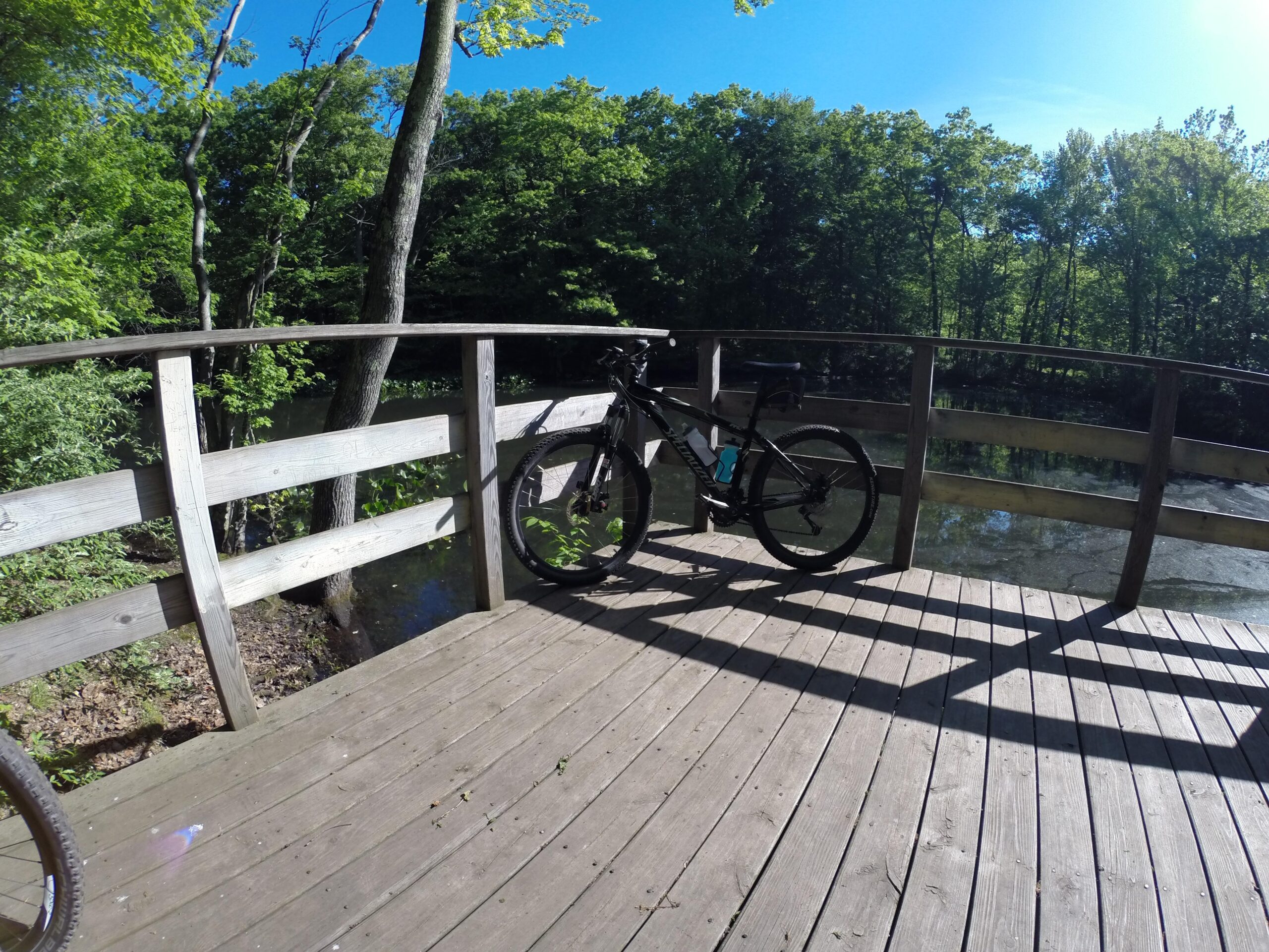Giant Trance 27.5 2: A mountain bike parked on a wooden deck overlooking a tranquil pond, surrounded by lush green trees and a clear blue sky. Sunlight casts shadows on the deck, creating a serene outdoor scene.