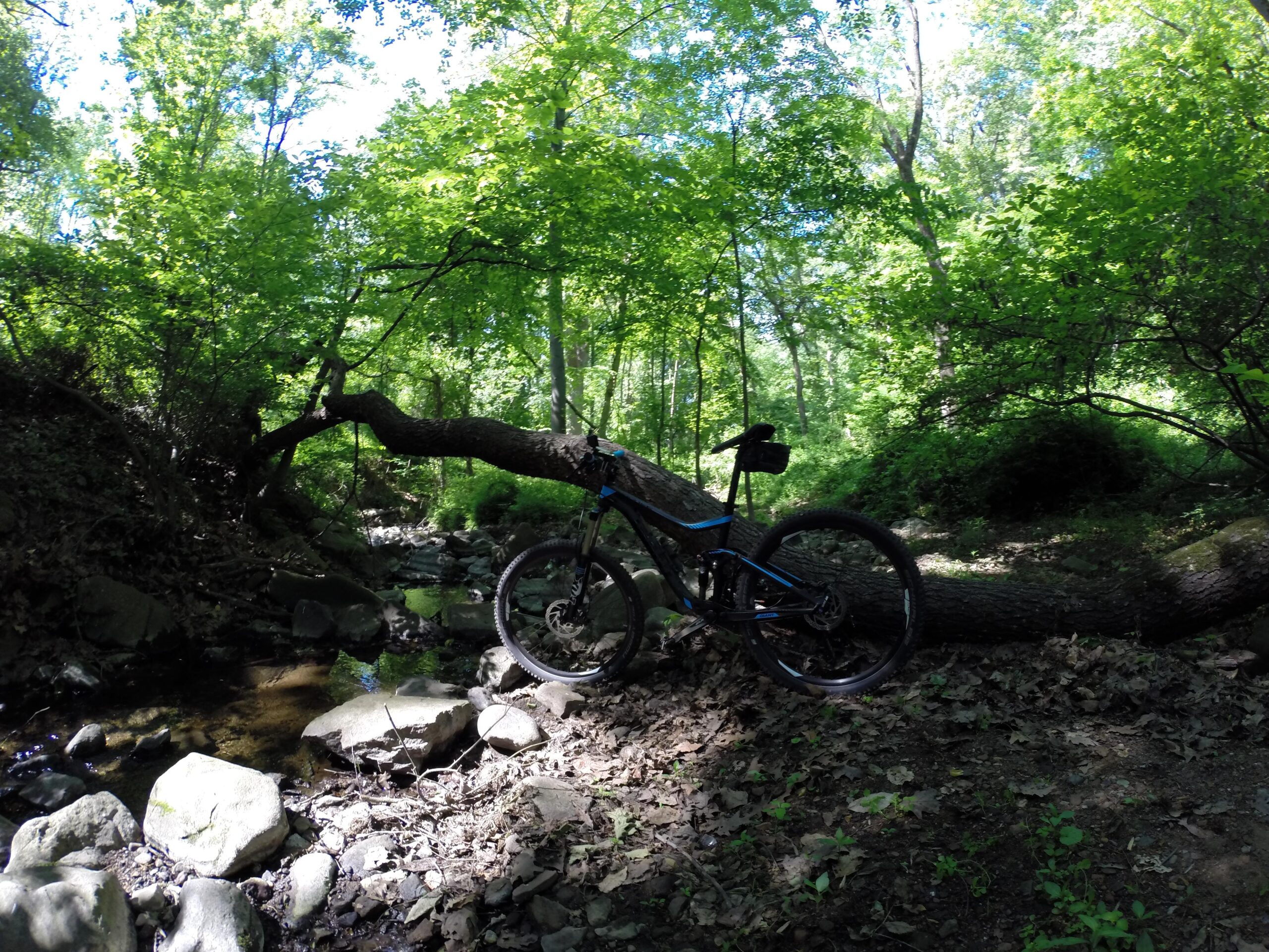 Giant Trance 27.5 2: A mountain bike leaning against a fallen tree near a small creek, surrounded by lush green foliage and sunlight filtering through the trees. Rocks and leaves cover the ground in this serene outdoor setting.