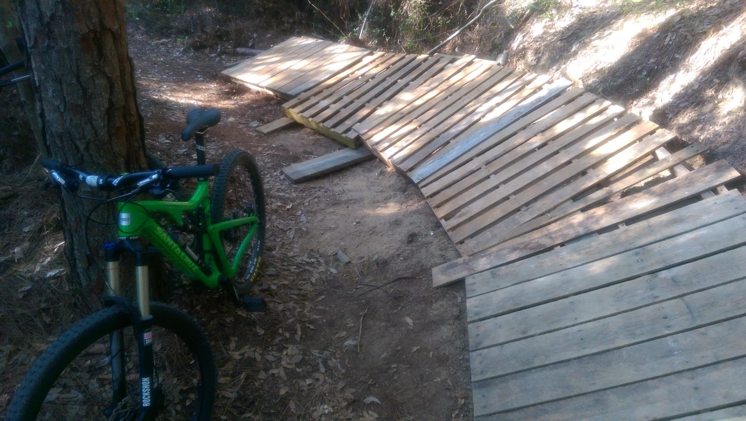 A green mountain bike rests against a tree beside a wooden bridge made of planks, leading over uneven terrain in a forested area, with trails and scattered leaves visible in the background. UWF Mountain Bike Trails mountain bike trail.