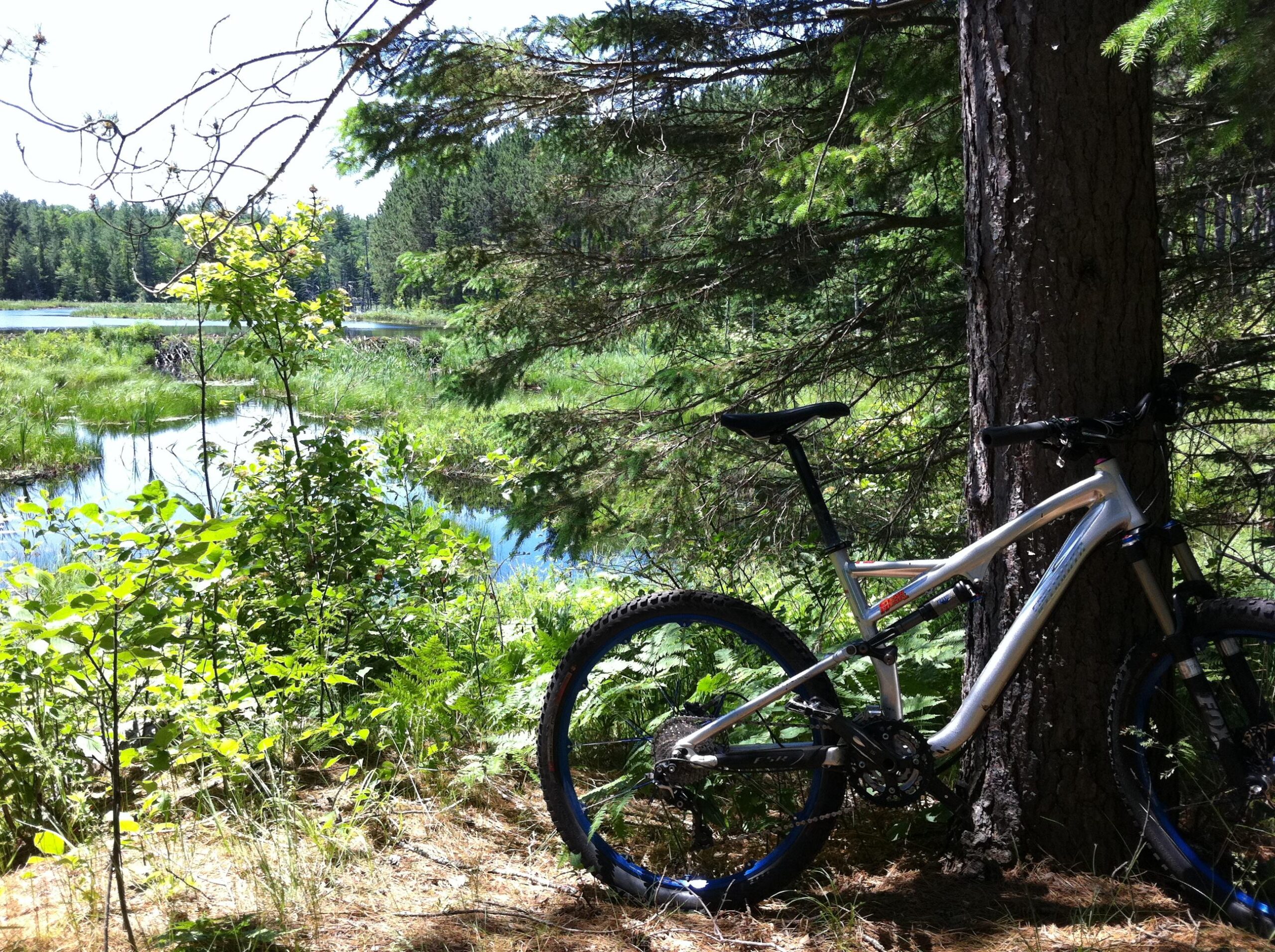 Specialized Stumpjumper FSR Elite: A mountain bike leaning against a tree in a lush, green forest. In the background, a serene body of water surrounded by tall grass and trees is visible under a clear blue sky, suggesting a peaceful outdoor setting.