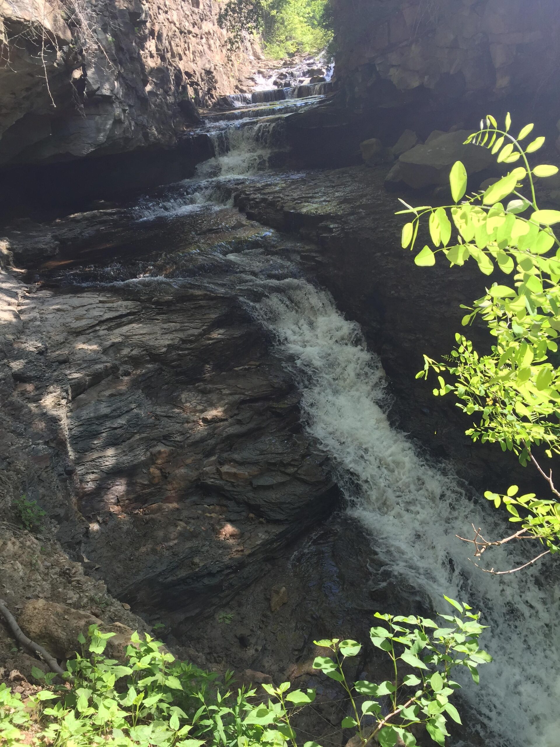 A cascading waterfall flows through rocky terrain, surrounded by lush greenery. The sunlight filters through trees, illuminating the water as it tumbles over smooth stones into a serene pool below. White Park mountain bike trail.