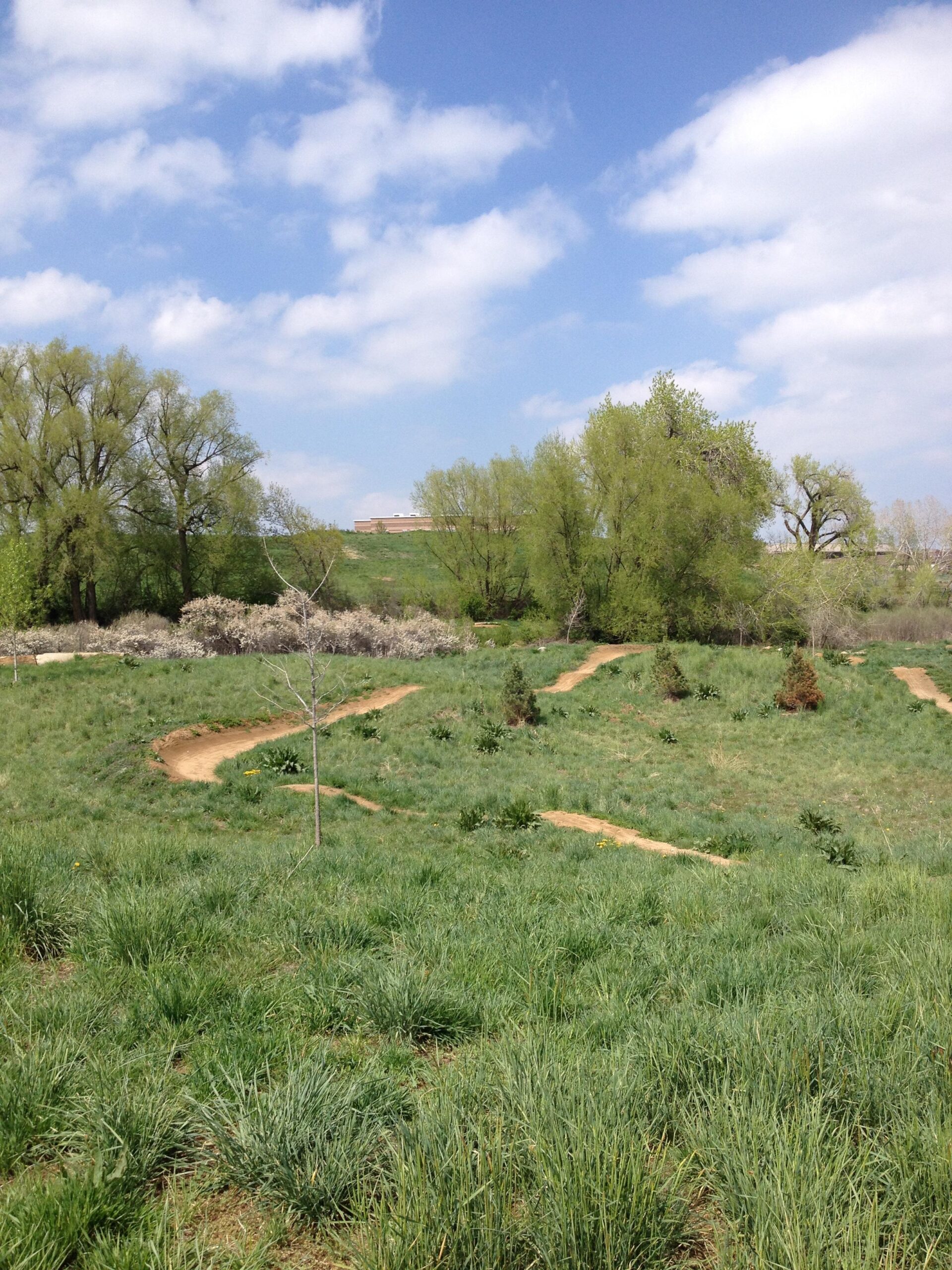 A scenic landscape featuring a grassy area with winding dirt paths surrounded by trees under a partly cloudy sky. Valmont Bike Park mountain bike trail.