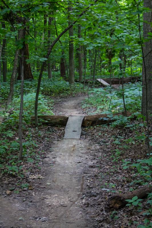 A narrow dirt path winding through a lush green forest, featuring a wooden bridge crossing over a small gap. Dense foliage surrounds the trail, with sunlight filtering through the trees above. Illiniwek Forest Preserve mountain bike trail.