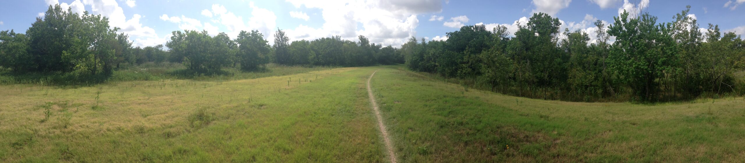 Panoramic view of a lush, green landscape featuring a dirt path winding through a grassy area. Surrounding the path are clusters of trees under a partly cloudy sky. The scene captures a peaceful, natural setting with a mix of open space and vegetation. George Bush Park mountain bike trail.