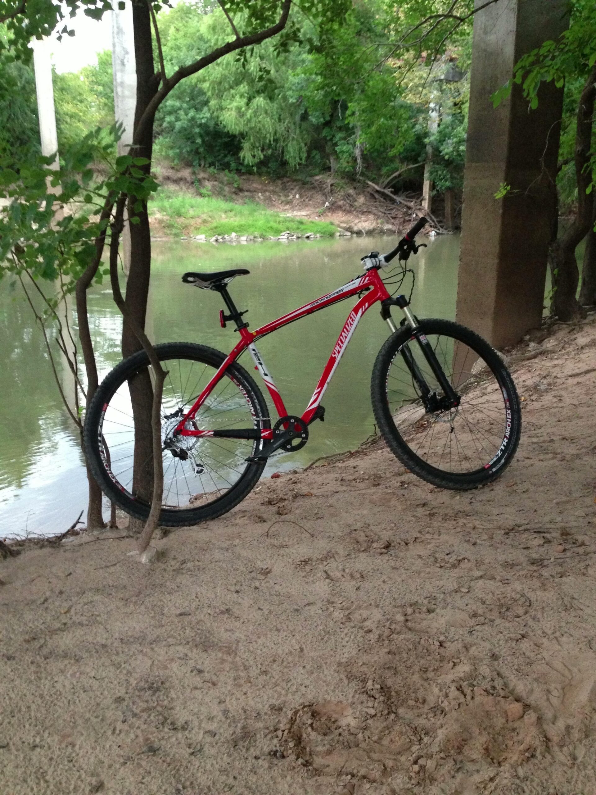 Specialized Rockhopper Comp 29: A red mountain bike leaning against a tree near a calm body of water, surrounded by greenery and sandy ground. Concrete pillars can be seen in the background, suggesting a nearby structure.