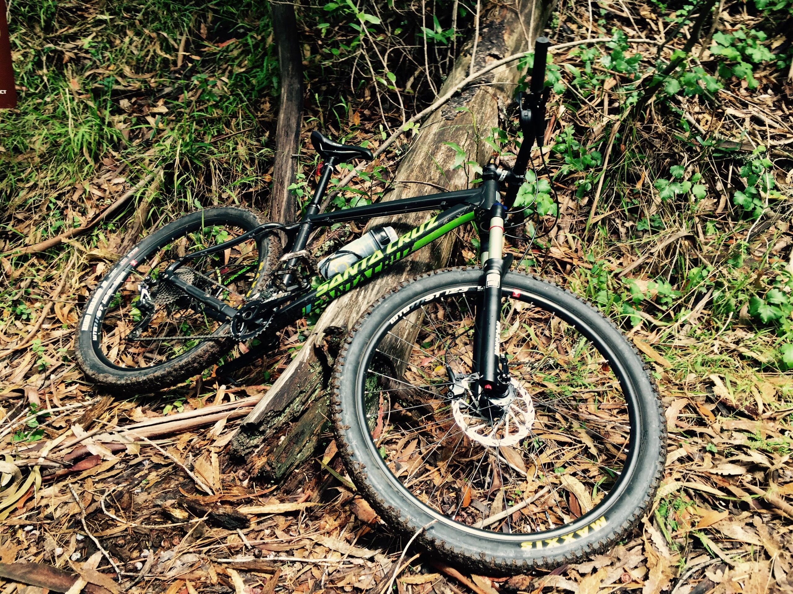 Santa Cruz Chameleon: A black mountain bike with green accents is resting on a patch of leaves and logs in a forested area. The bike is partially leaning against a fallen tree, surrounded by lush greenery and underbrush. The scene suggests an outdoor cycling environment, possibly on a trail.