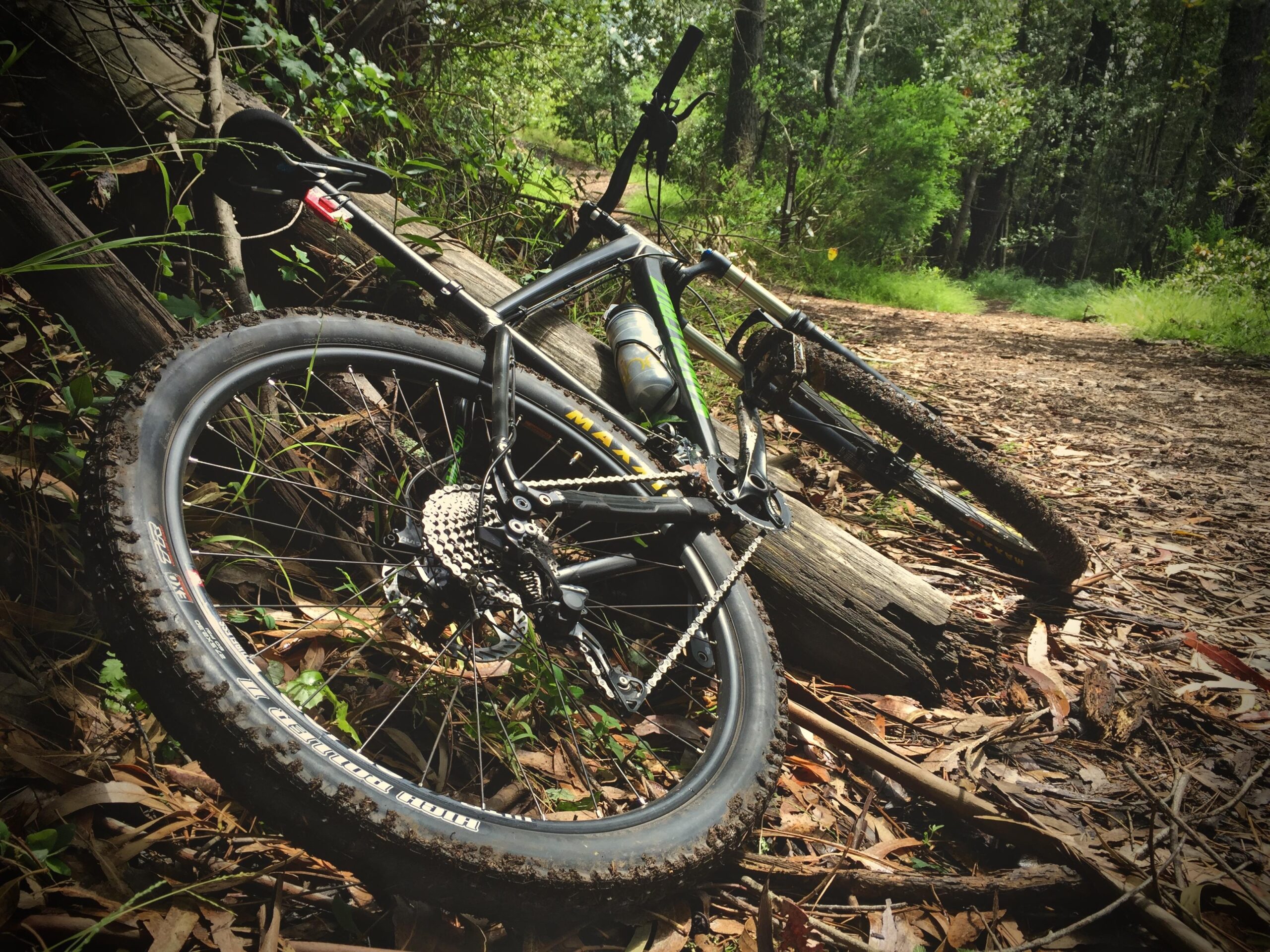 Santa Cruz Chameleon Reviews And Prices Hardtail Bikes