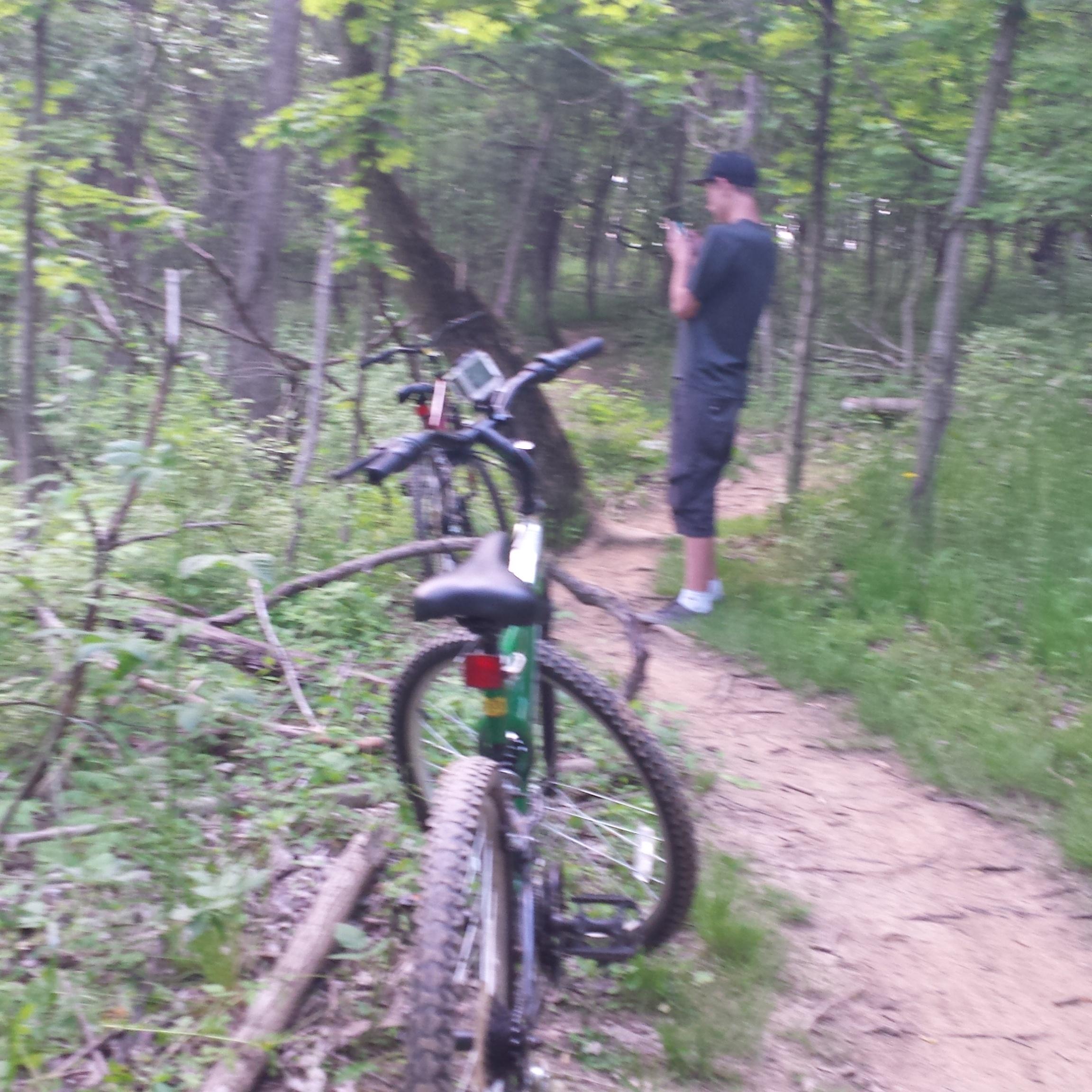 A forested trail with two mountain bikes parked in the foreground. A person in a black shirt and shorts is standing in the background, looking at their phone. The surroundings are lush with greenery, featuring trees and underbrush. Mitchell Memorial Forest Mountain Bike Trail mountain bike trail.