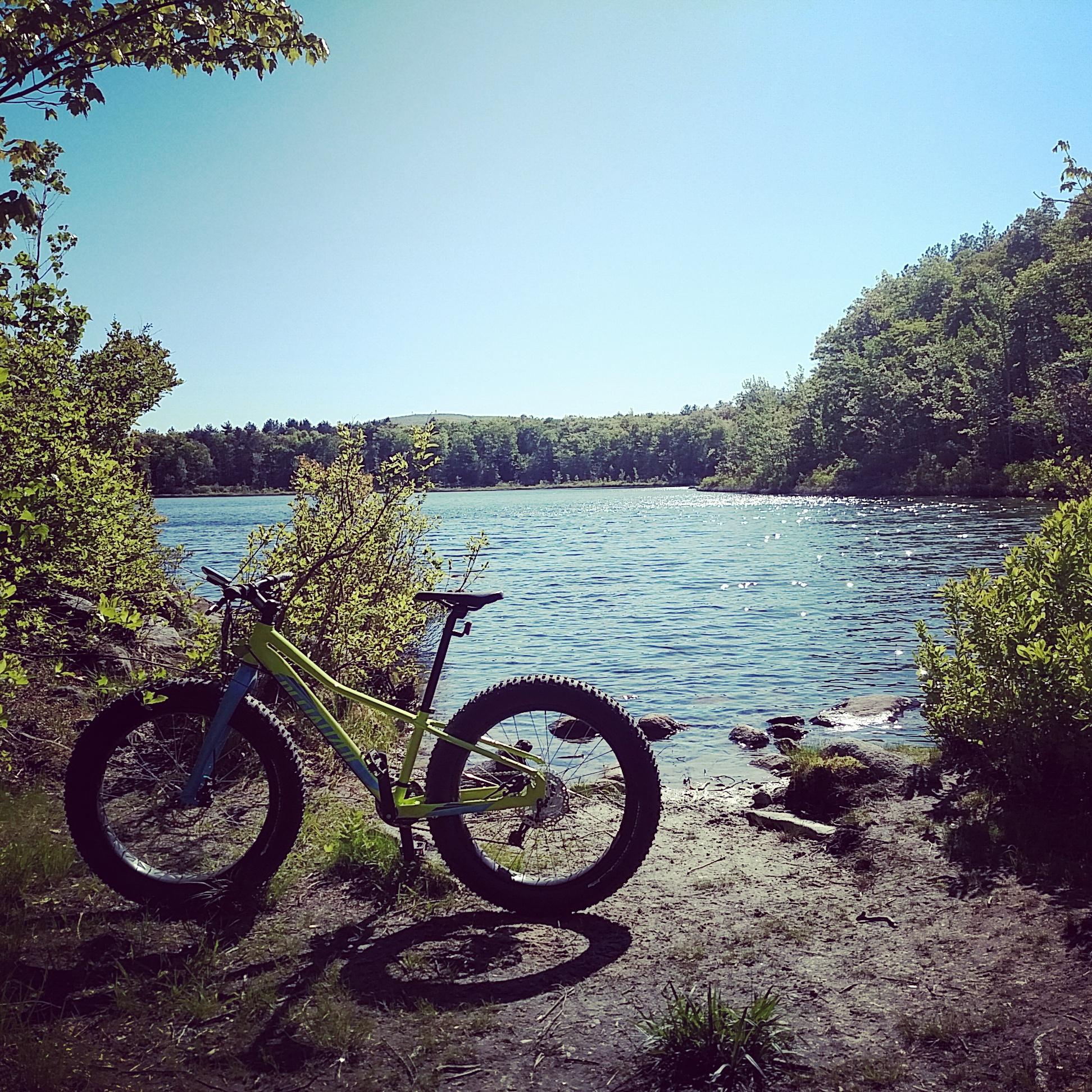 Specialized Fatboy: A bright, sunny scene featuring a fat bike resting on the sandy bank of a tranquil river. Lush green foliage surrounds the bike, with a clear blue sky above and trees lining the opposite shore. The water reflects sunlight, creating a serene outdoor atmosphere.