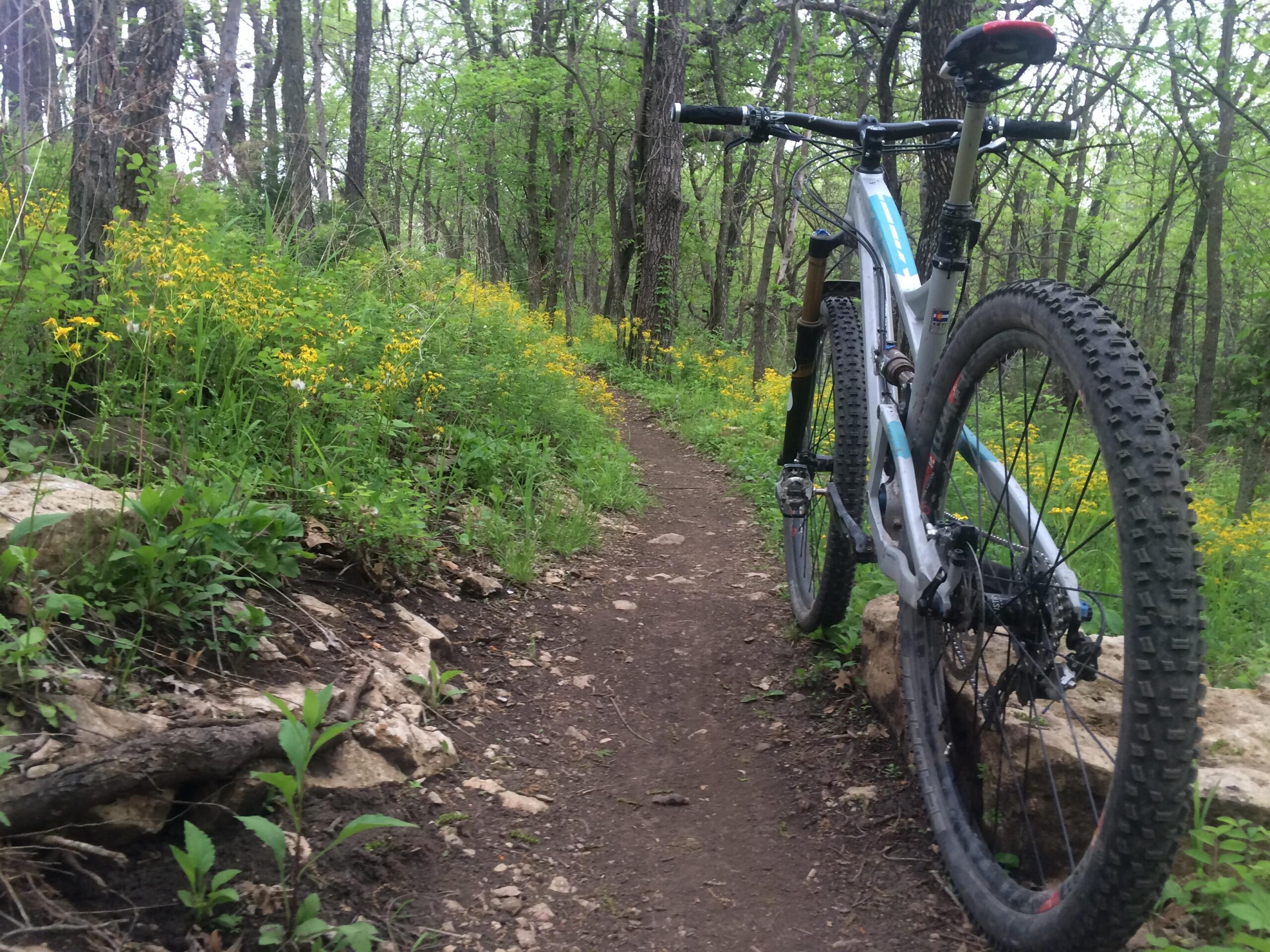 A mountain bike resting on a trail surrounded by lush greenery and yellow wildflowers in a wooded area. The path is dirt with stones and foliage alongside, creating a serene outdoor scene perfect for cycling. Shawnee Mission Park mountain bike trail.