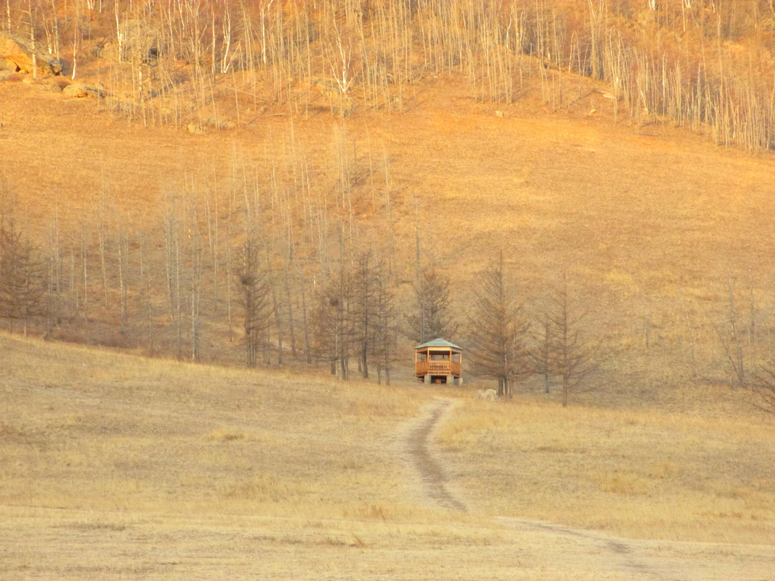 A small wooden cabin situated at the edge of a grassy field, surrounded by sparse trees and a gentle slope in the background. The scene is illuminated by warm, golden light, indicating either sunrise or sunset, creating a serene and tranquil atmosphere. A winding dirt path leads up to the cabin. Camel Run mountain bike trail.
