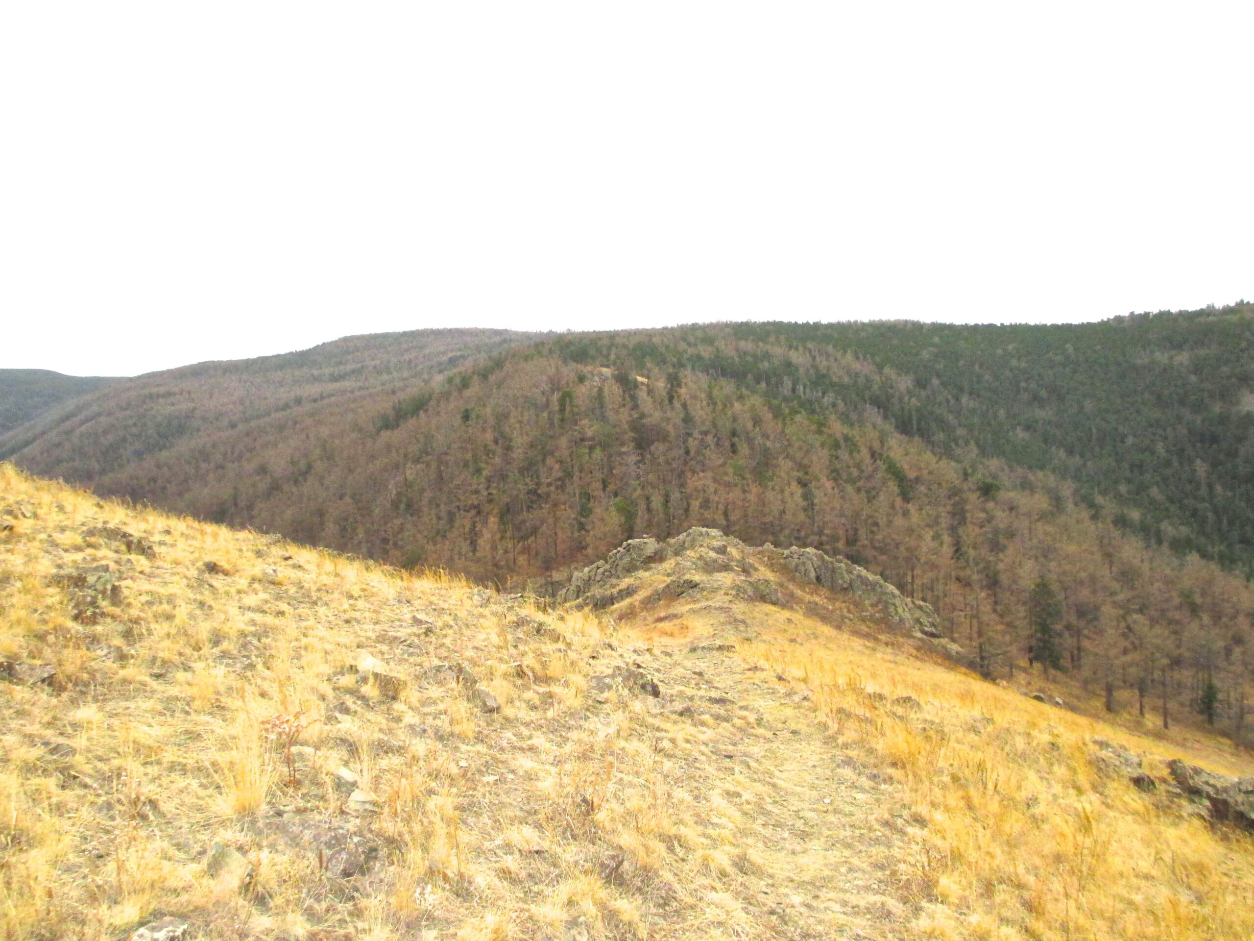 A scenic view of rolling hills covered in grass and sparse trees under a cloudy sky. The foreground features rocky terrain, while the background showcases a range of mountains with a mix of evergreen and deciduous forests in varying shades of green and brown. Zaisan Chutes mountain bike trail.