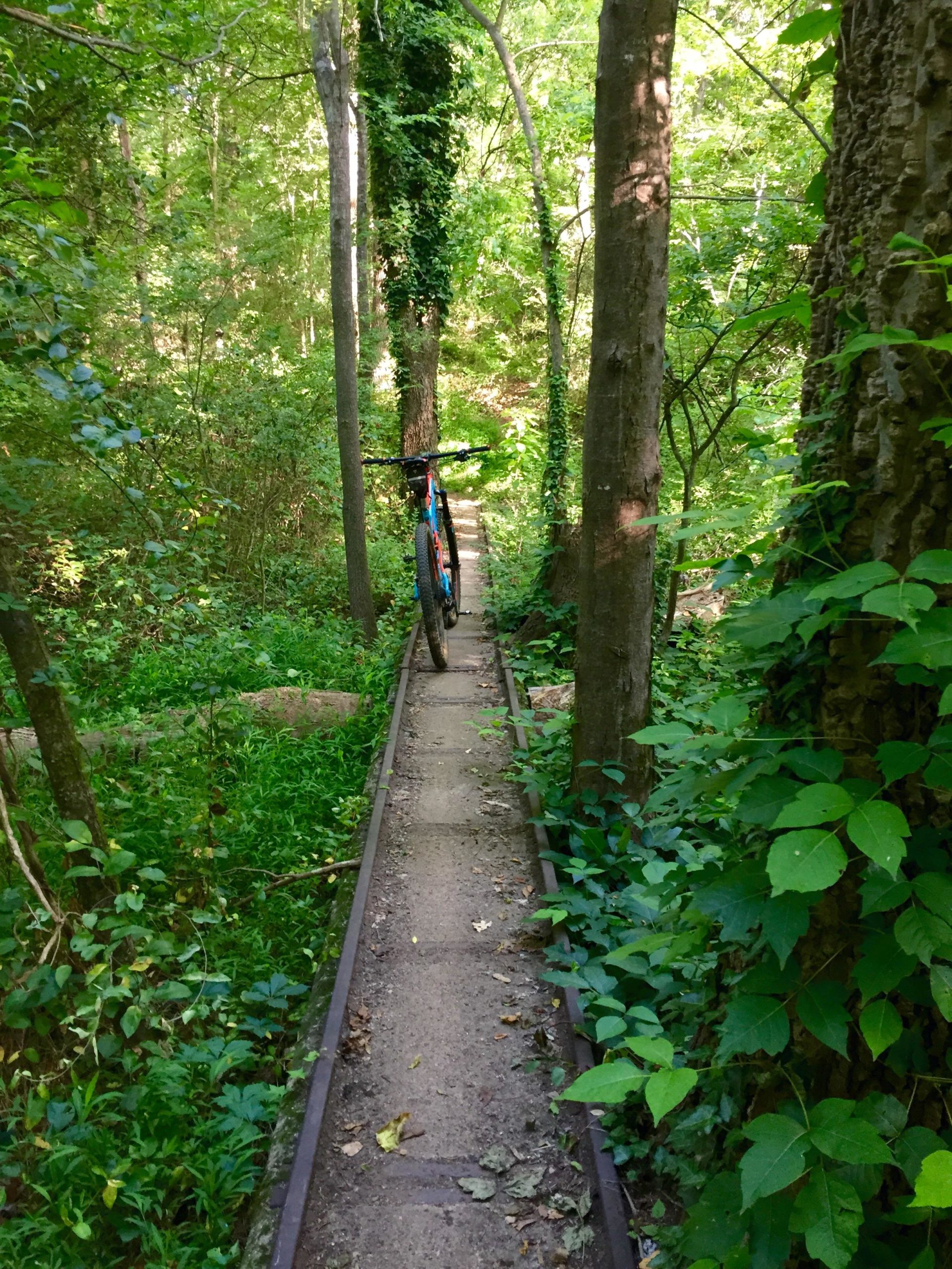A mountain bike leaning against a tree on a narrow, overgrown path surrounded by lush greenery and trees in a forest setting. Back Yard Trails mountain bike trail.
