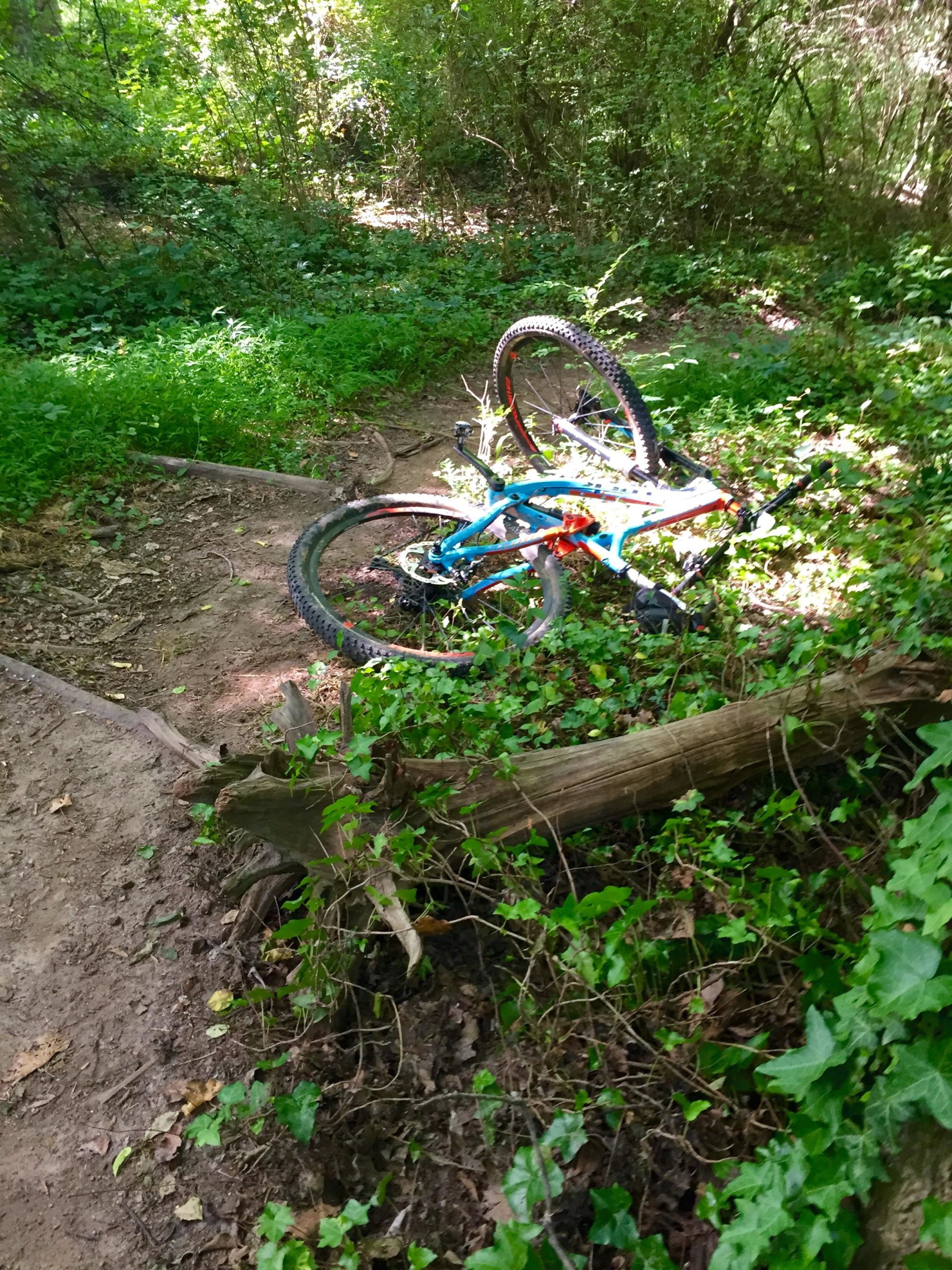 A mountain bike is partially hidden among lush green vegetation and fallen branches on a dirt path in a wooded area. The bike is on its side, with its wheels up, surrounded by ferns and small plants in a serene natural setting. Back Yard Trails mountain bike trail.