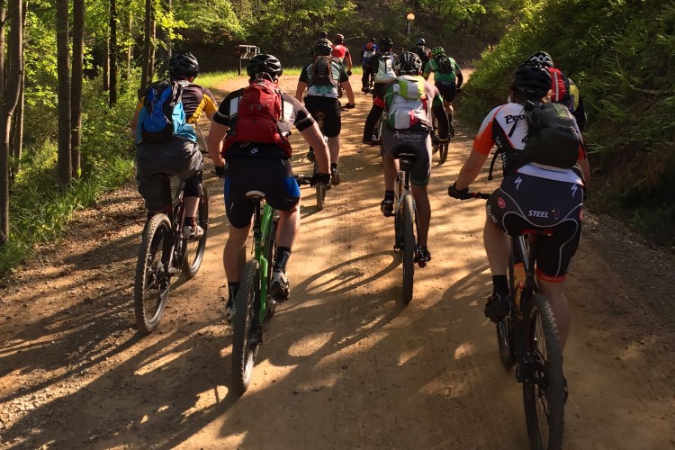 A group of mountain bikers riding along a dirt path surrounded by trees. The cyclists are seen from behind, showcasing a variety of bike colors and gear as they navigate the trail on a sunny day.