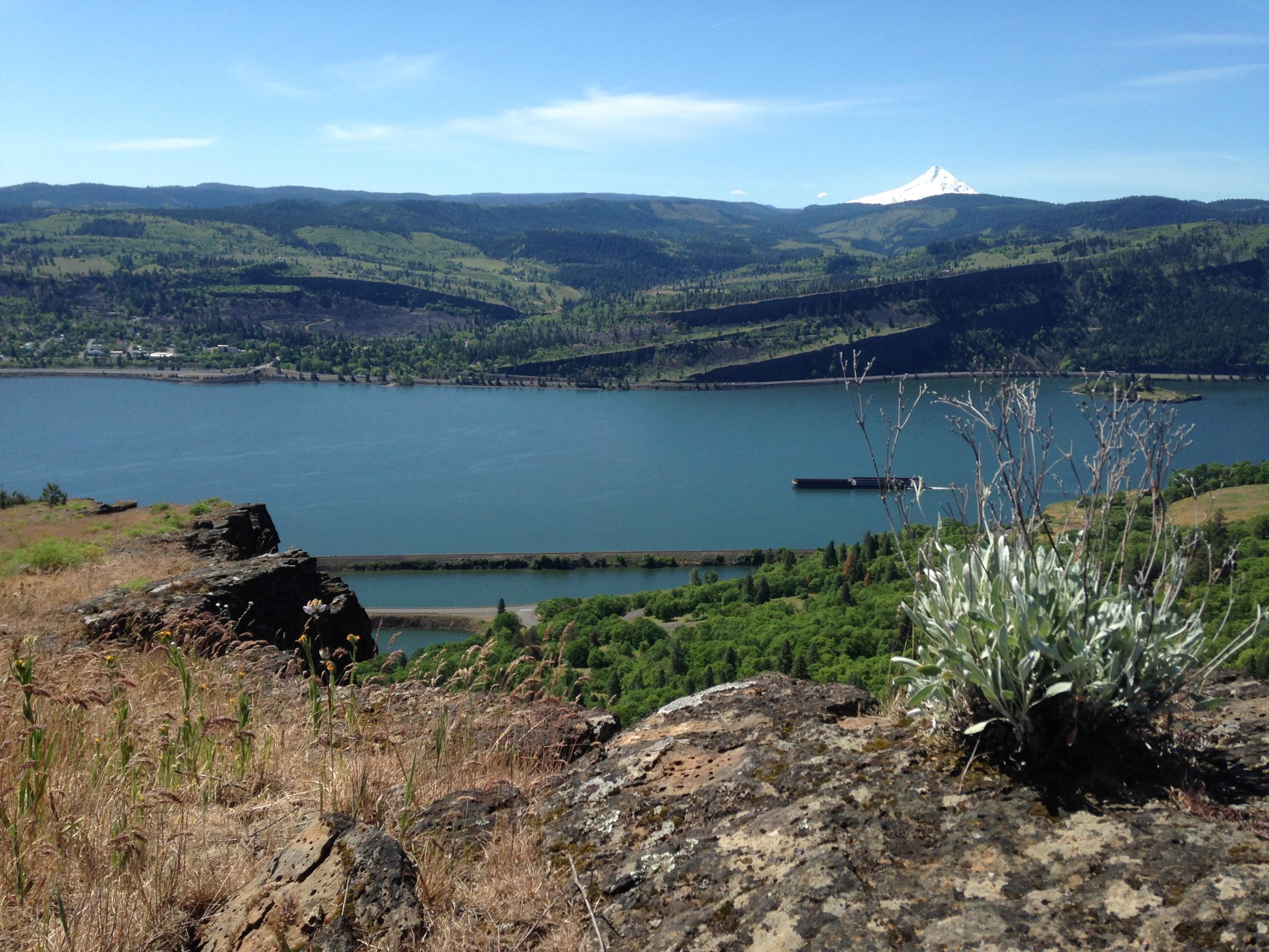 Scenic view of the Columbia River with lush green hills and a distant snow-capped mountain under a clear blue sky, featuring rocky outcrops in the foreground. Syncline mountain bike trail.