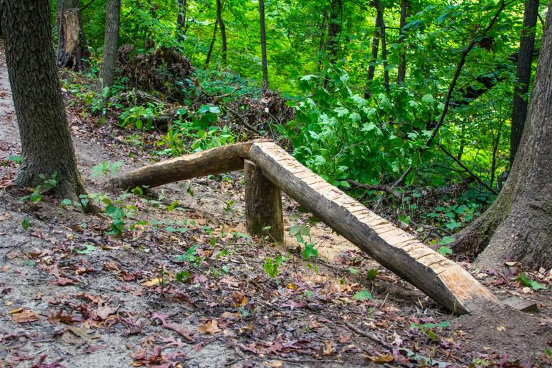 A wooden log bridge spans a small incline in a forested area, surrounded by lush green foliage and tree trunks. The ground is covered in dirt and fallen leaves, indicating a natural trail. Illiniwek Forest Preserve mountain bike trail.