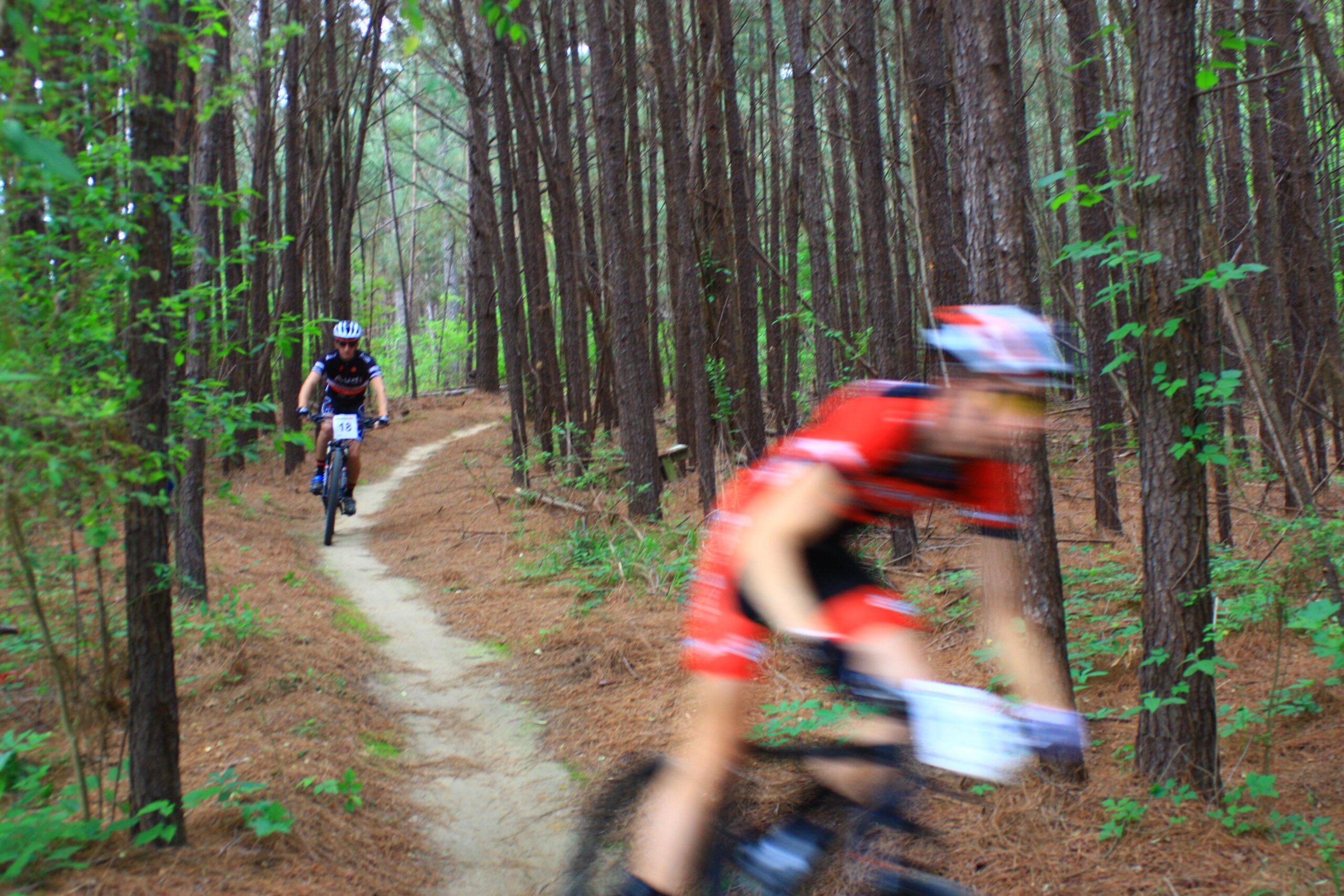 Two mountain bikers navigate a narrow trail through a dense forest of tall pine trees. One cyclist, clad in a red and black outfit, is depicted in motion with a blurred effect, while the other cyclist in the background rides at a slower pace. The ground is covered with pine needles and light green foliage. Mt. Zion Bike Trails mountain bike trail.