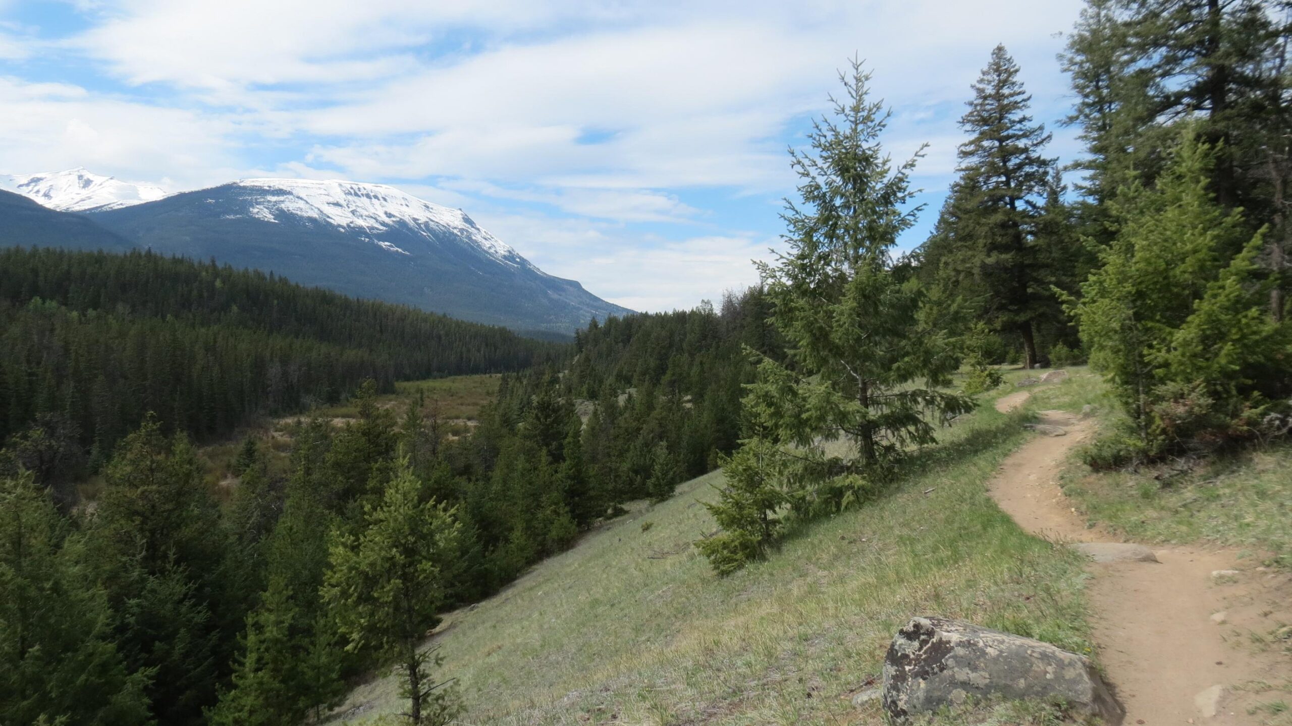 A scenic mountain landscape featuring snow-capped peaks in the background. The foreground includes a winding dirt trail surrounded by lush green trees and a grassy hillside. The sky is partly cloudy, creating a serene atmosphere in this outdoor setting. 12 to 5 to 5 / Valley of the Five Lakes and Wabasso Lake mountain bike trail.