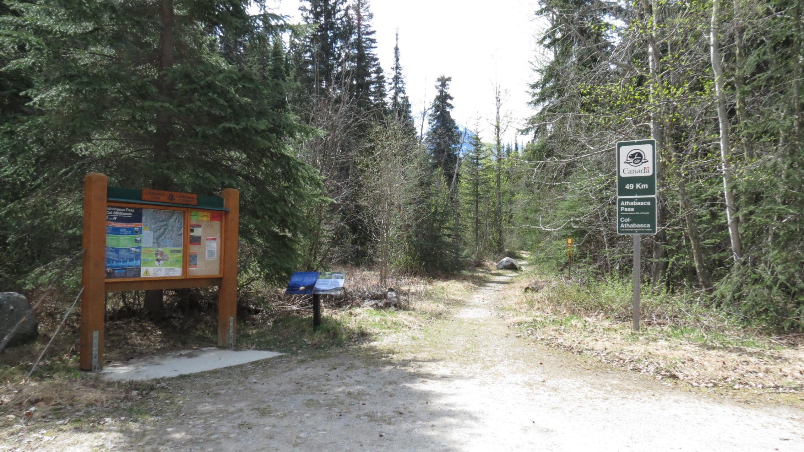 A forested area with a gravel trail leading into the woods. To the left, there is a wooden information board displaying maps and notices, while a blue informational sign is nearby. On the right, a green sign indicates a distance of 49 kilometers to Athabasca Pass, with the word "Canada" at the top. The landscape features tall pine trees and sparse underbrush, suggesting a natural setting suitable for hiking. Athabasca Pass mountain bike trail.
