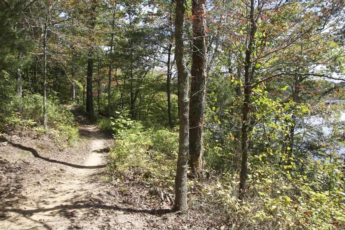 A winding dirt path through a wooded area, bordered by trees and lush green foliage, with glimpses of a body of water visible in the background under clear skies. Brush Creek mountain bike trail.