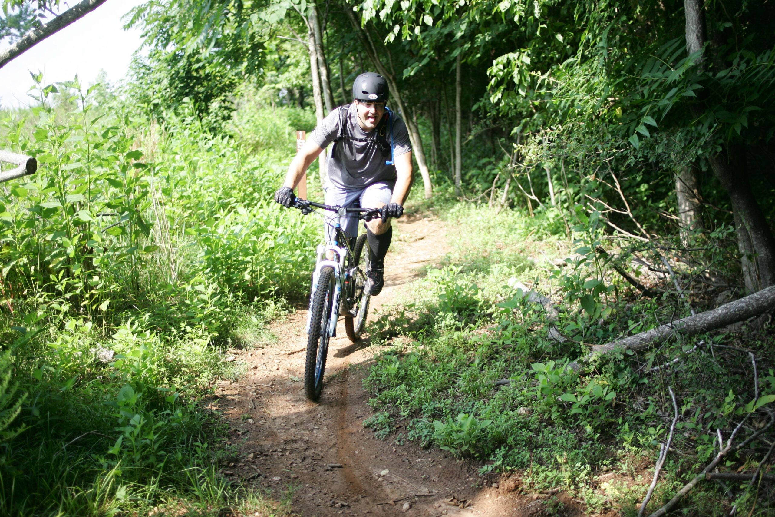 A cyclist wearing a helmet and gloves rides a mountain bike along a narrow dirt trail surrounded by lush green vegetation and trees. The sun is shining brightly, illuminating the path ahead. Angler's Ridge mountain bike trail.
