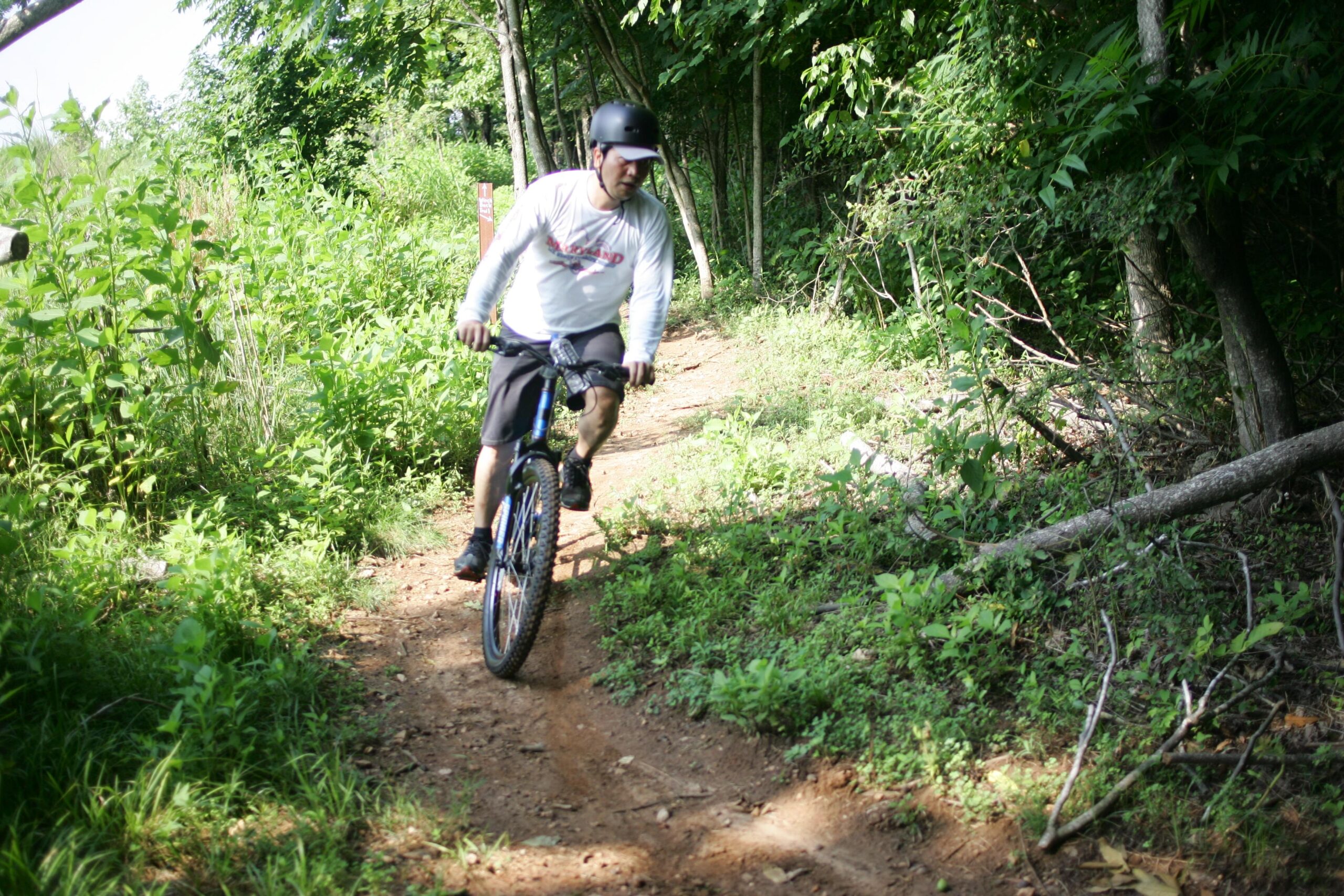 A person riding a mountain bike on a dirt trail surrounded by greenery and trees. The rider is wearing a helmet and is leaning slightly to one side, navigating a curve in the path. Sunlight filters through the leaves, illuminating the scene. Angler's Ridge mountain bike trail.