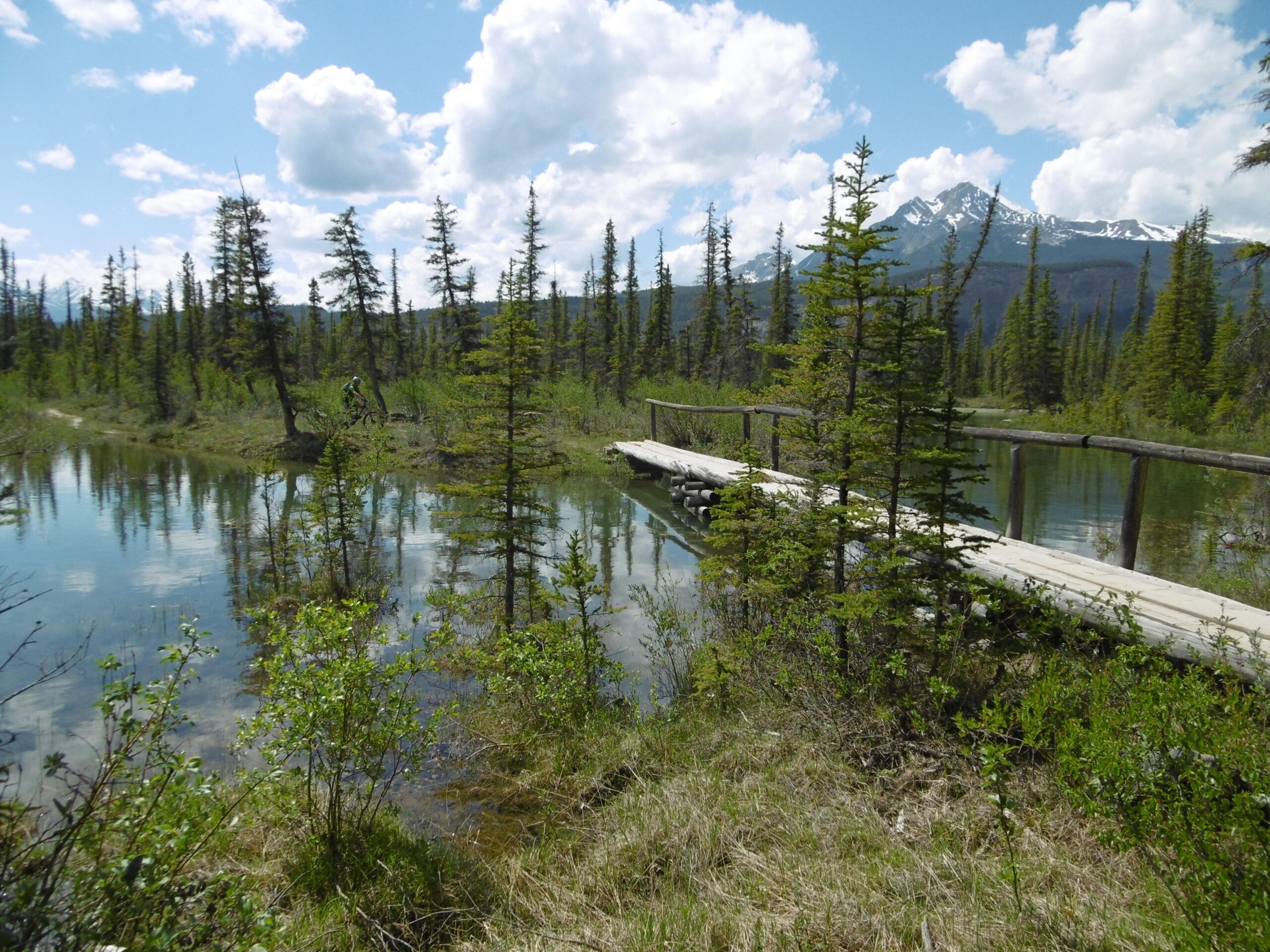 A scenic view of a tranquil pond surrounded by lush greenery and tall coniferous trees. A wooden bridge crosses over the water, reflecting the blue sky and fluffy white clouds above, with snow-capped mountains visible in the background. The Overlander mountain bike trail.