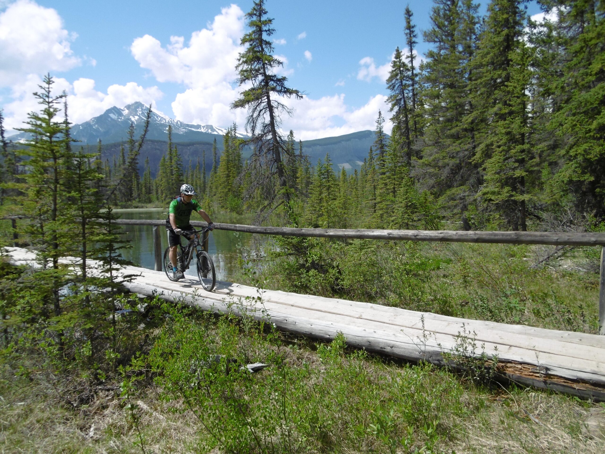 A mountain biker riding along a wooden bridge over a calm body of water, surrounded by tall evergreen trees and snow-capped mountains in the background under a blue sky with fluffy clouds. The Overlander mountain bike trail.