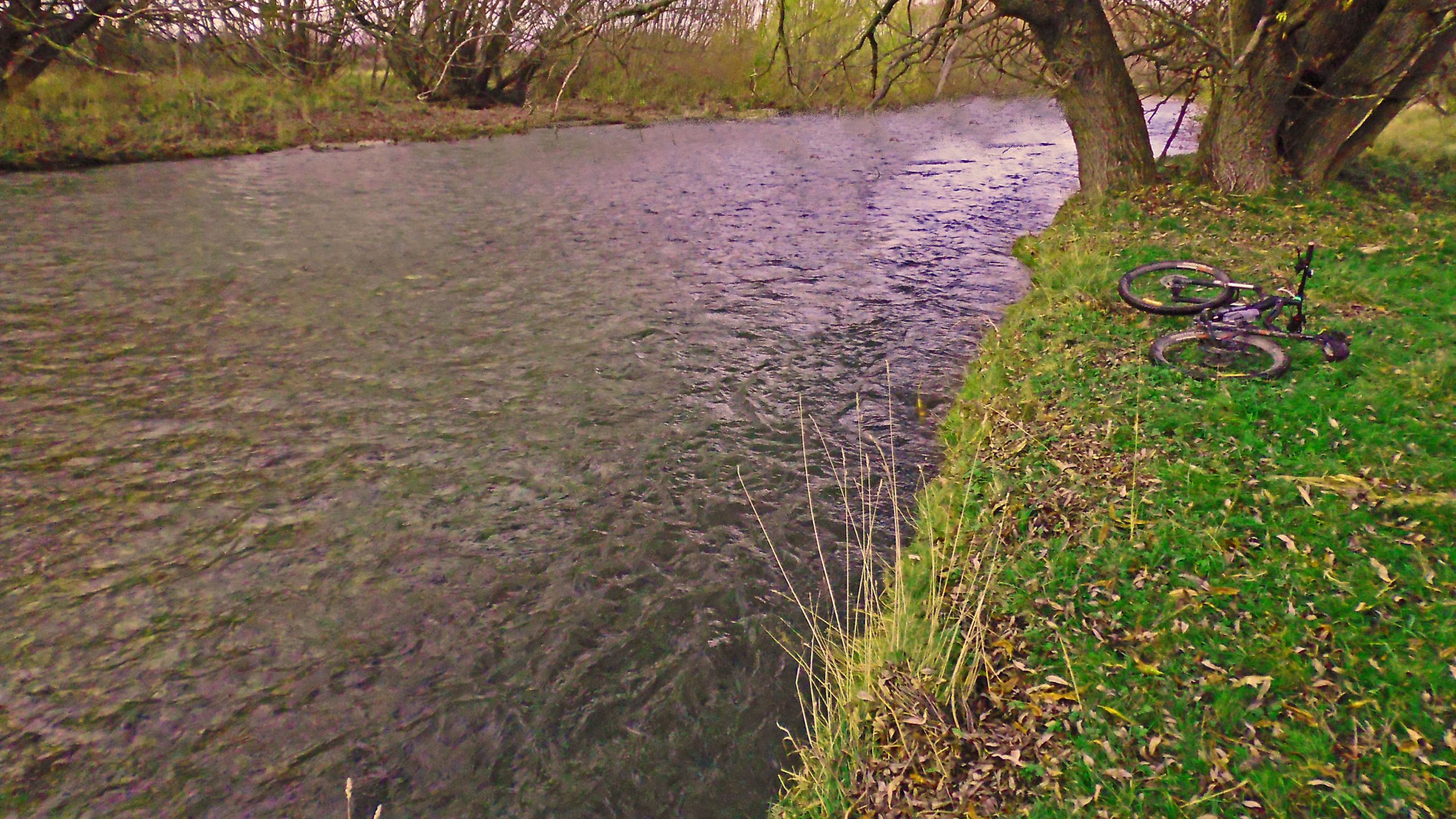 A serene landscape featuring a calm river bordered by green grass and scattered leaves. A bicycle lies on its side on the grassy bank, with trees framing the scene in the background. Twizel River Trail mountain bike trail.