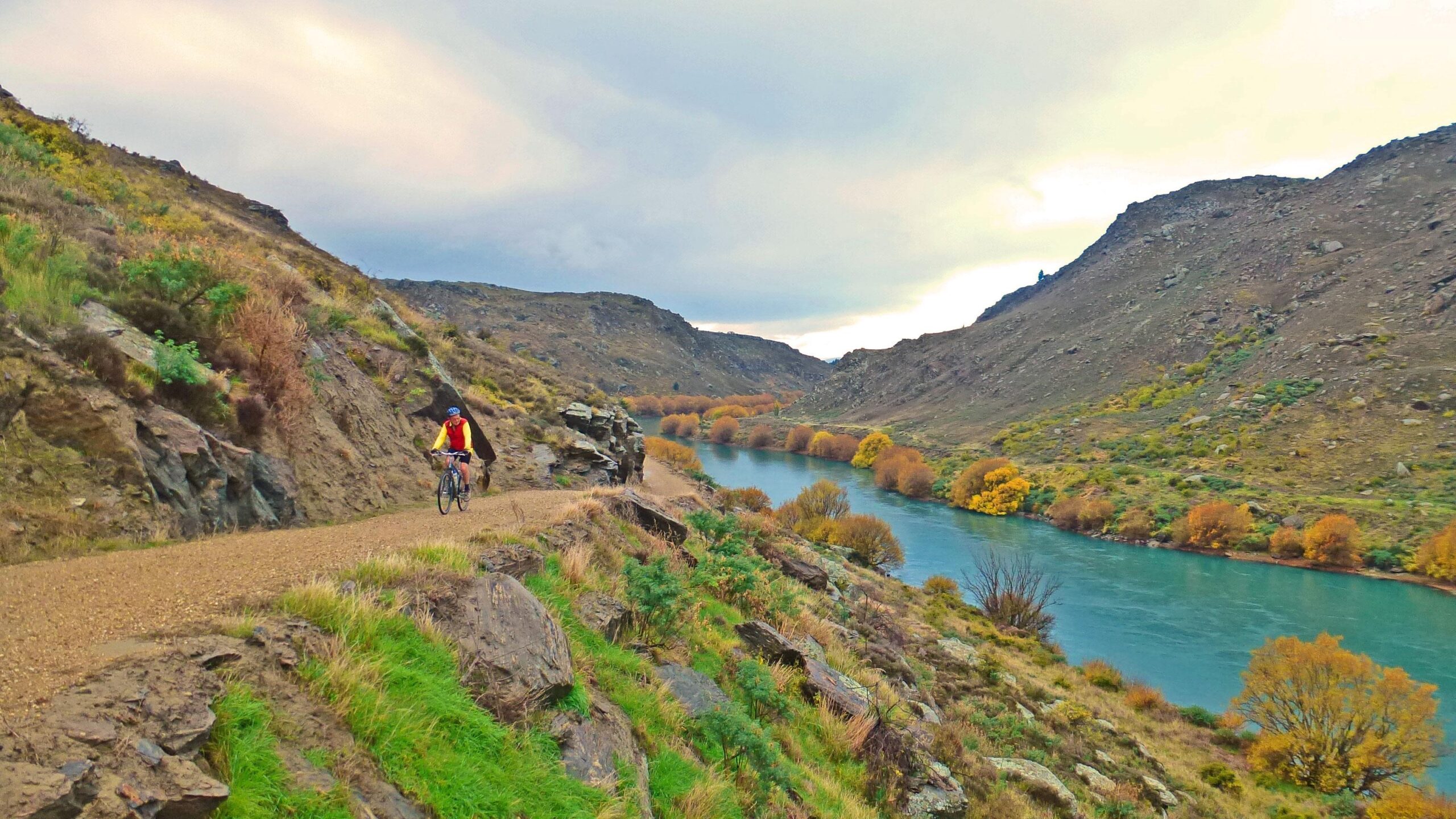 A cyclist riding along a gravel path by a river, surrounded by rocky hills and autumn foliage. The river is a bright turquoise color, reflecting the cloudy sky above. Roxburgh Gorge North mountain bike trail.