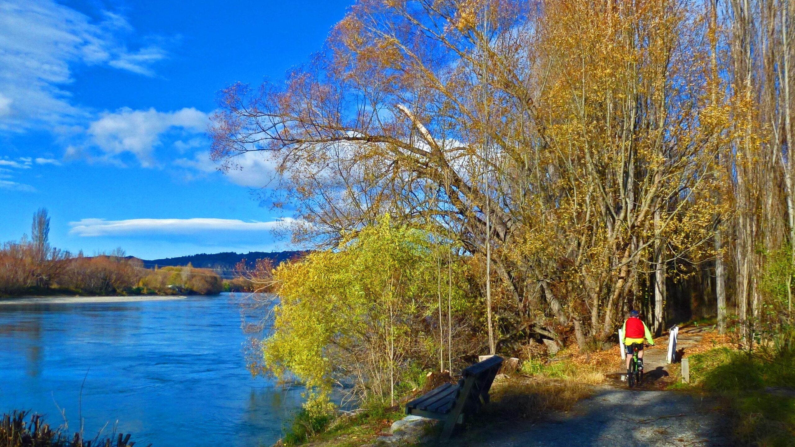 A scenic riverside path with a cyclist riding away, surrounded by autumn foliage. The scene features a calm river under a bright blue sky with scattered clouds, benches along the path, and trees displaying shades of yellow and brown. River Track - Clyde to Alexandra mountain bike trail.