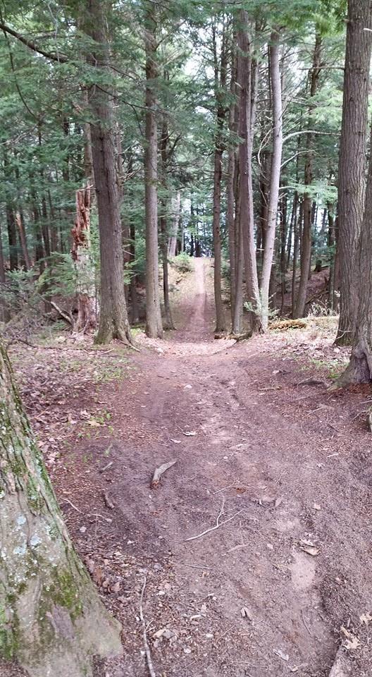 A forest path winding through tall trees, with a dirt trail leading gently downhill. The ground is covered with fallen leaves and scattered twigs, while patches of greenery are visible along the sides of the trail. In the background, the trail appears to open up to a body of water. Raven Trails mountain bike trail.