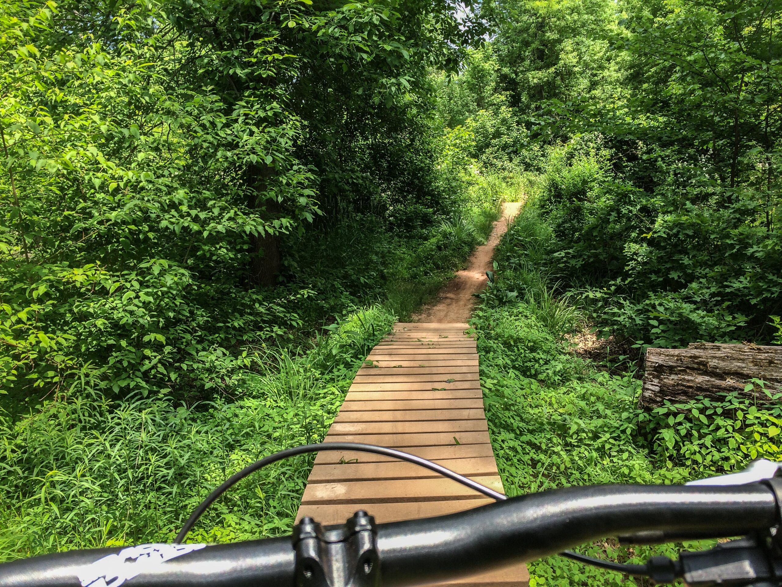 A view of a wooden bike path winding through dense greenery, with lush foliage on both sides and a dirt trail visible in the background, seen from the perspective of a cyclist. Six Mile Run mountain bike trail.
